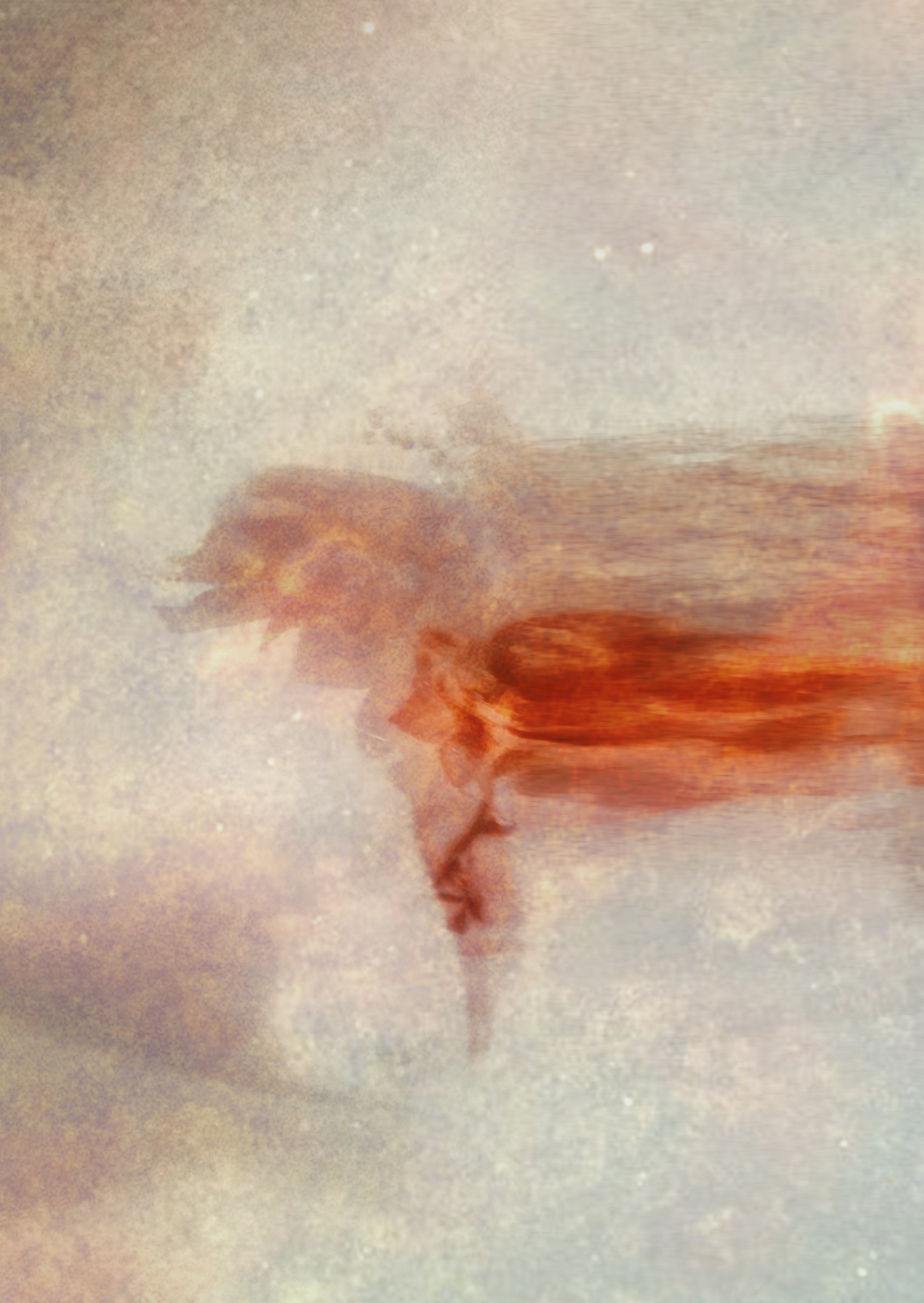 Эфемерность. Элина Михальцова, визуальный артист, фотограф в Екатеринбурге