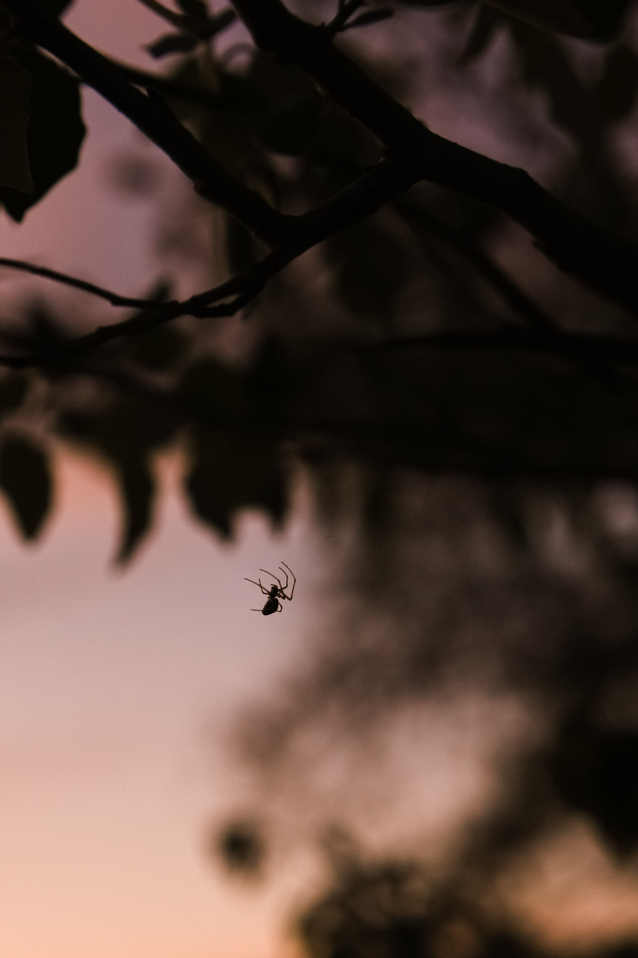 Весна. Катя Цвет