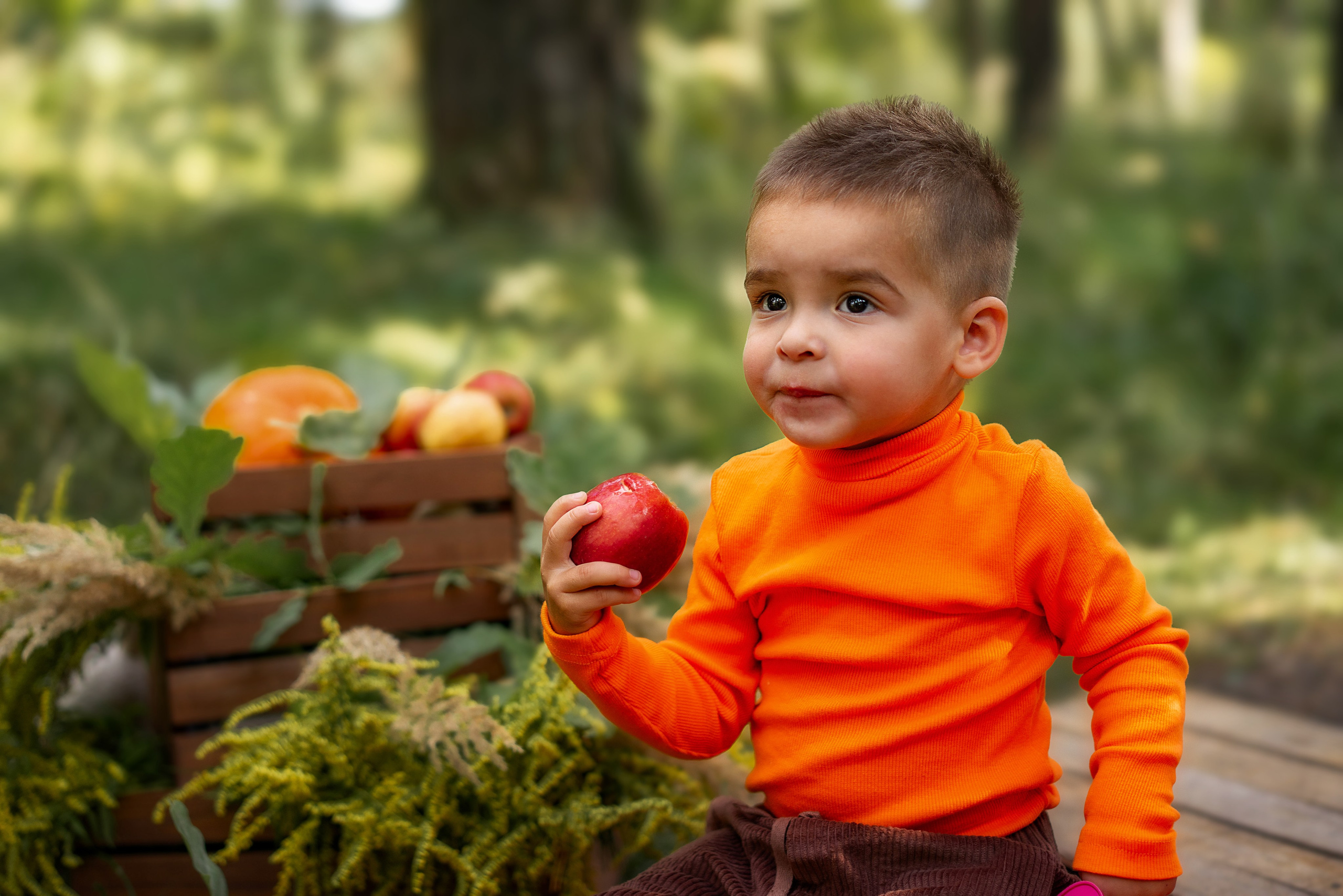 Семейные съёмки
