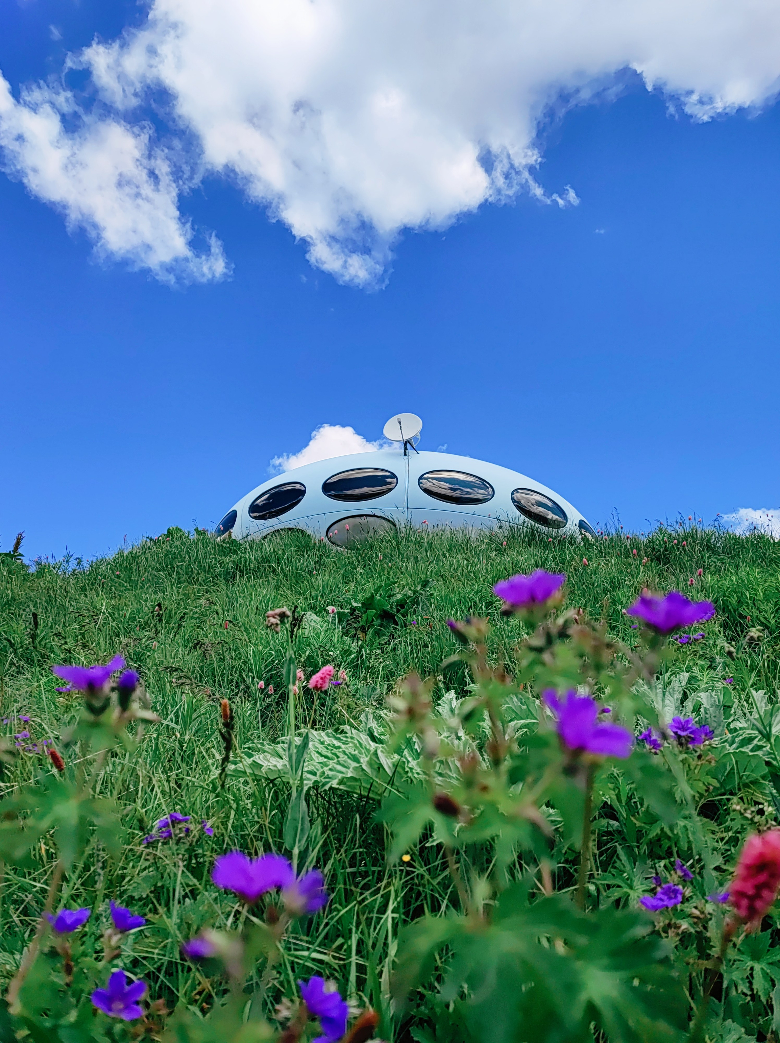 Намобилкус кавказский. Репортажный фотограф Алексей Пирязев