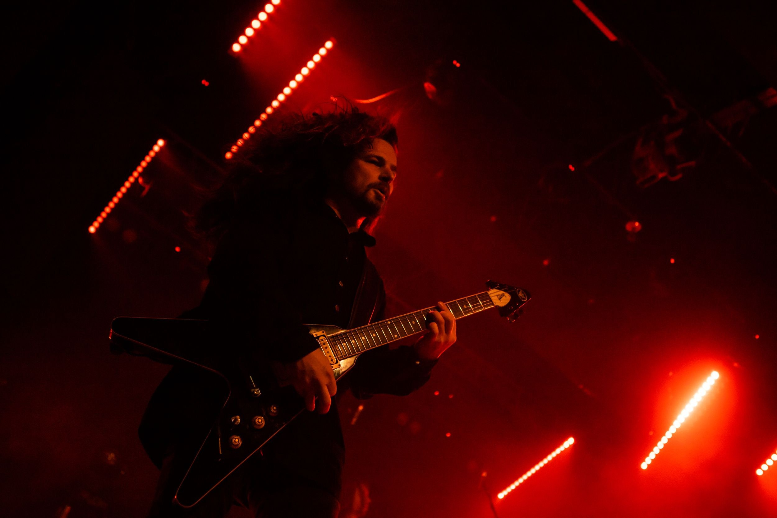 Animal ДжаZ. Репортажный фотограф Алексей Пирязев