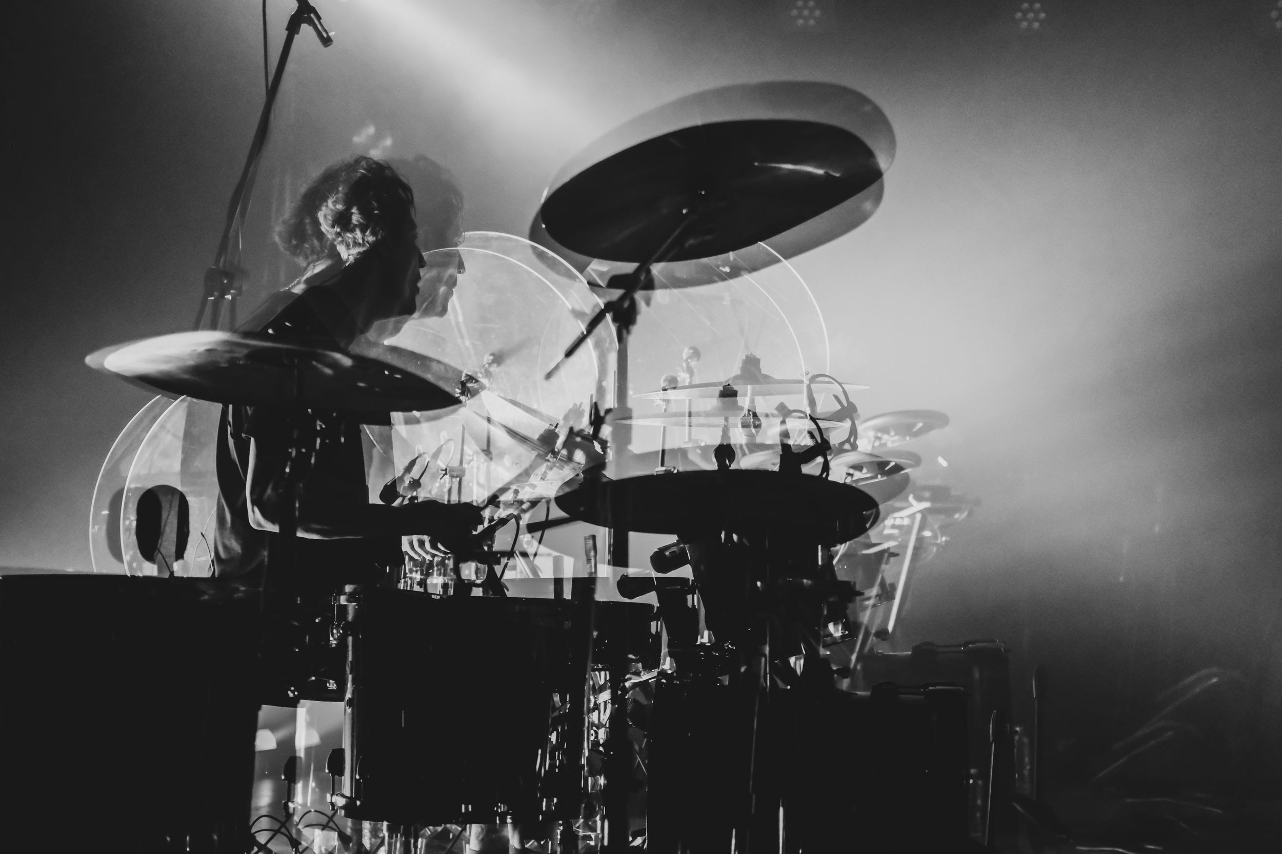 Дельфин. Репортажный фотограф Алексей Пирязев