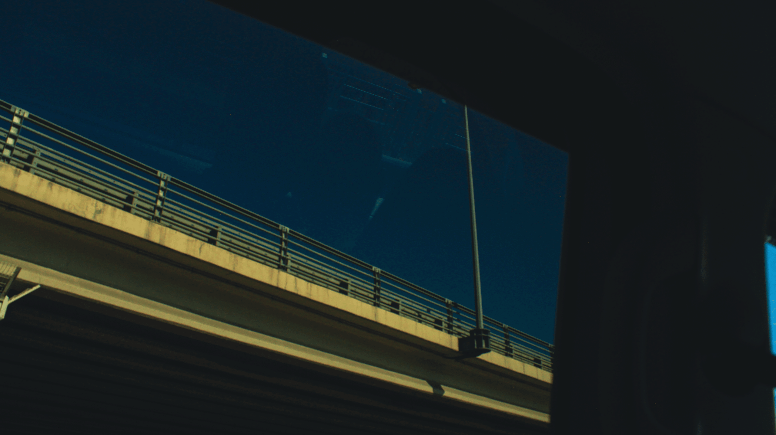 TMN autumn '24. Фотограф/дизайнер в Екатеринбурге Хитрый Дмитрий