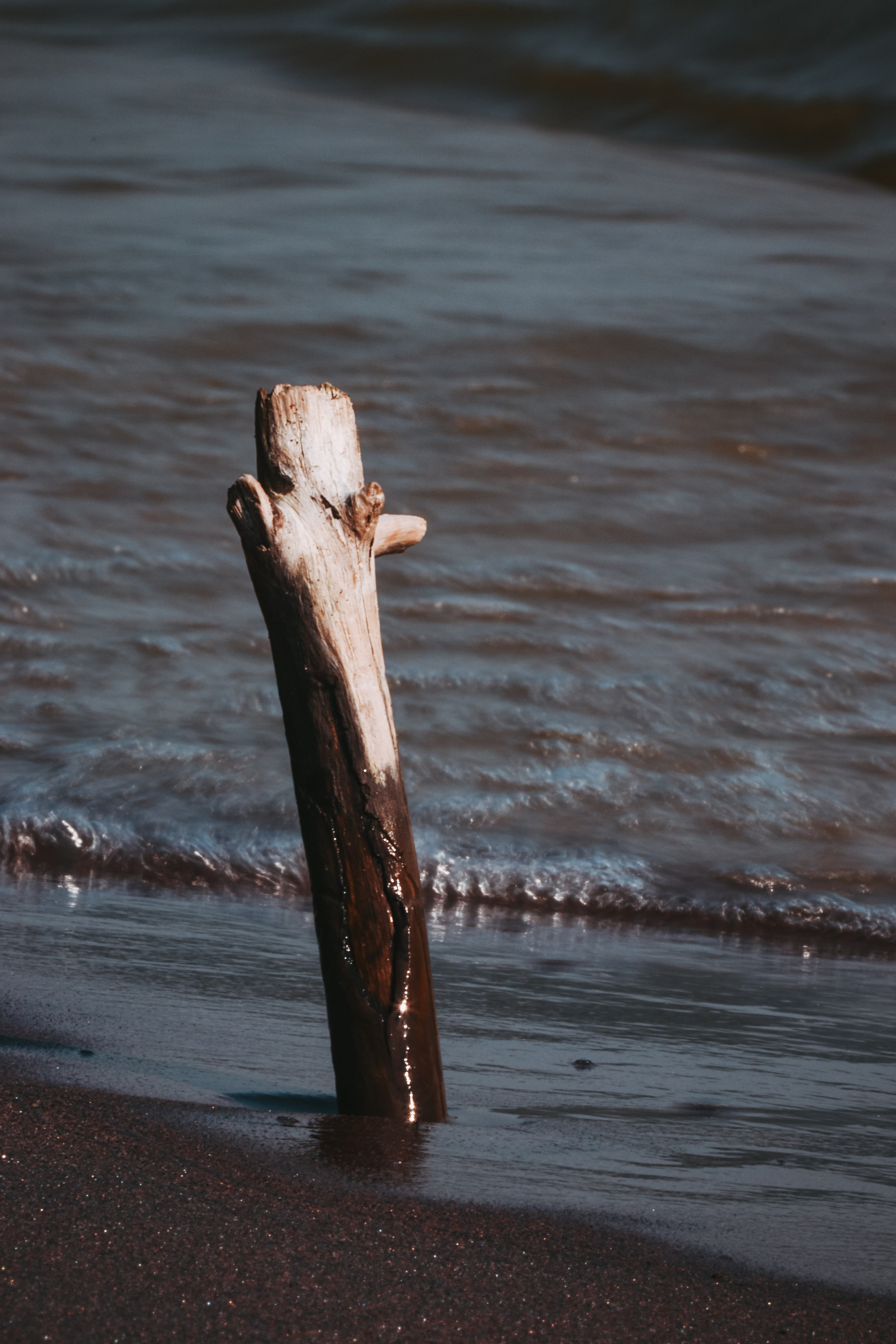 В О Д А. — Digital Noise —