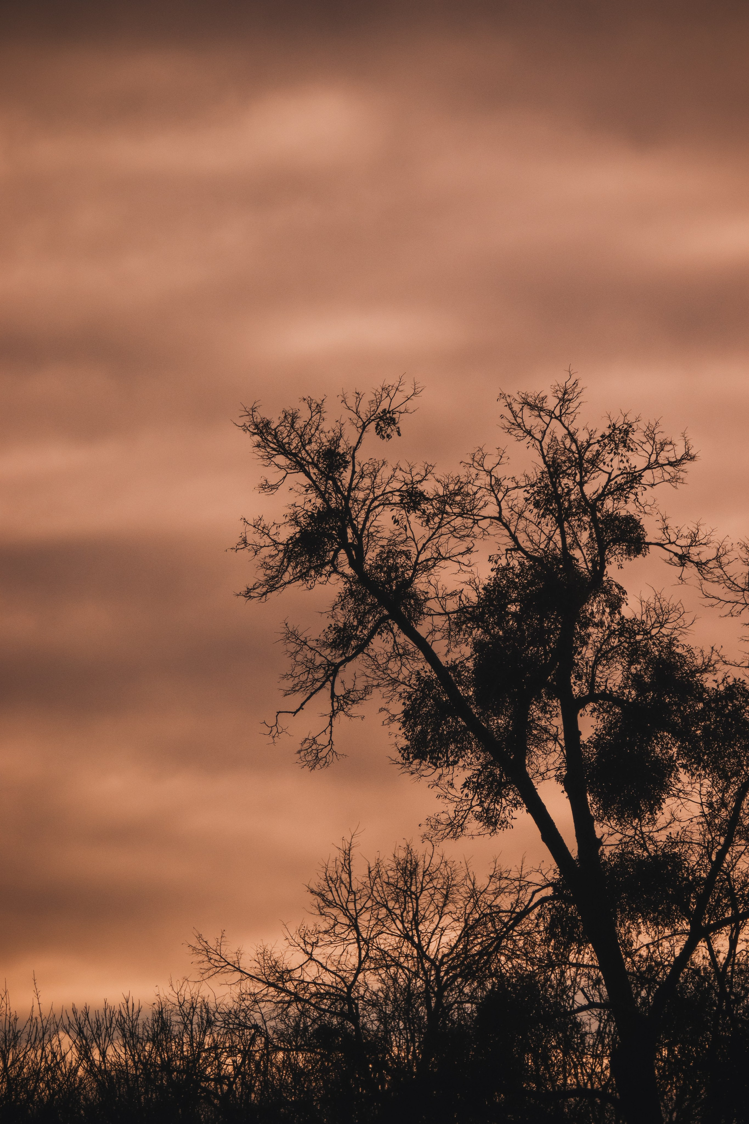 С Е П И Я. — Digital Noise —