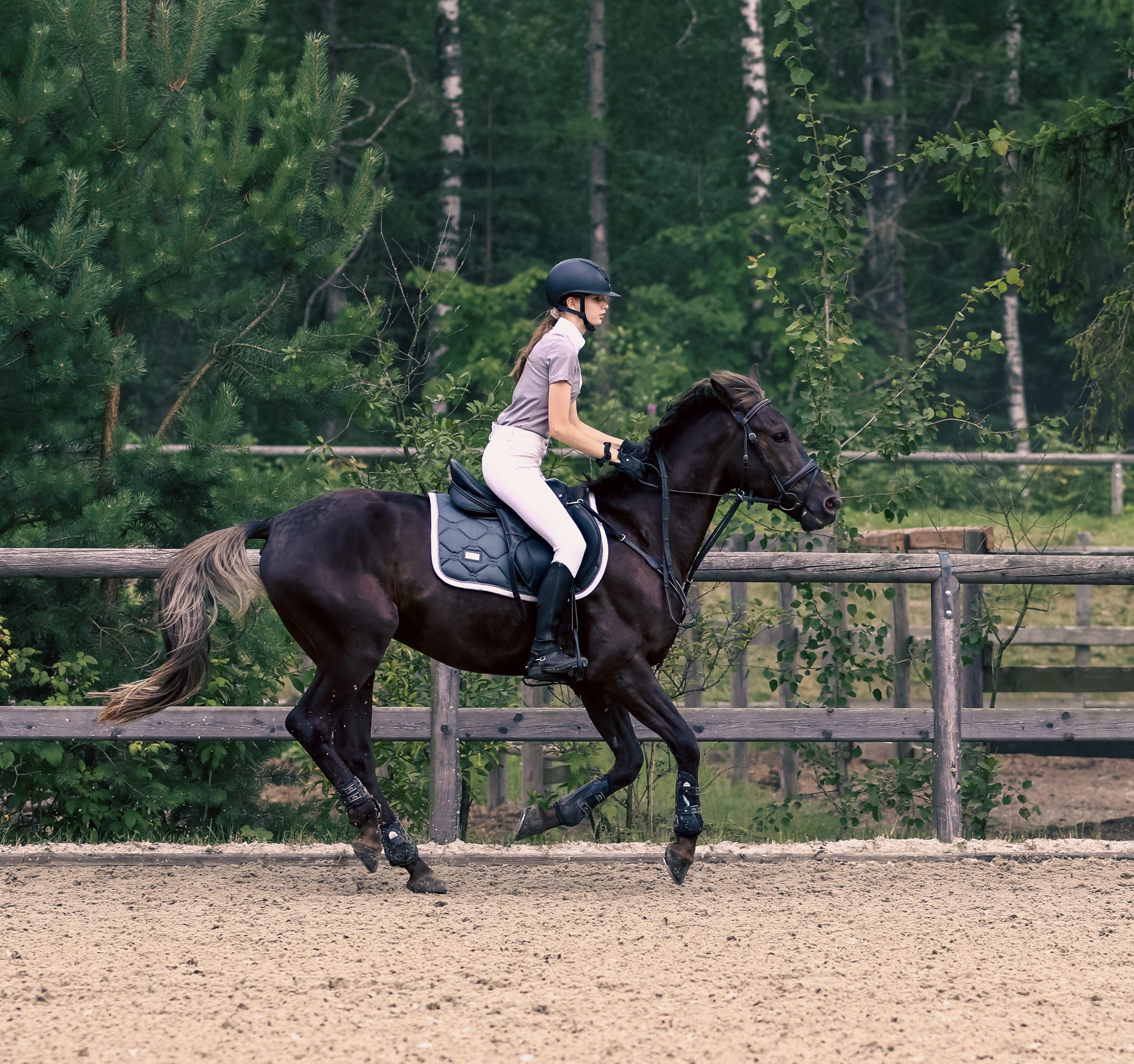Соревнования по конному спорту. Фотограф репортажей и стритфотосессий в Москве Людмила Смирнова
