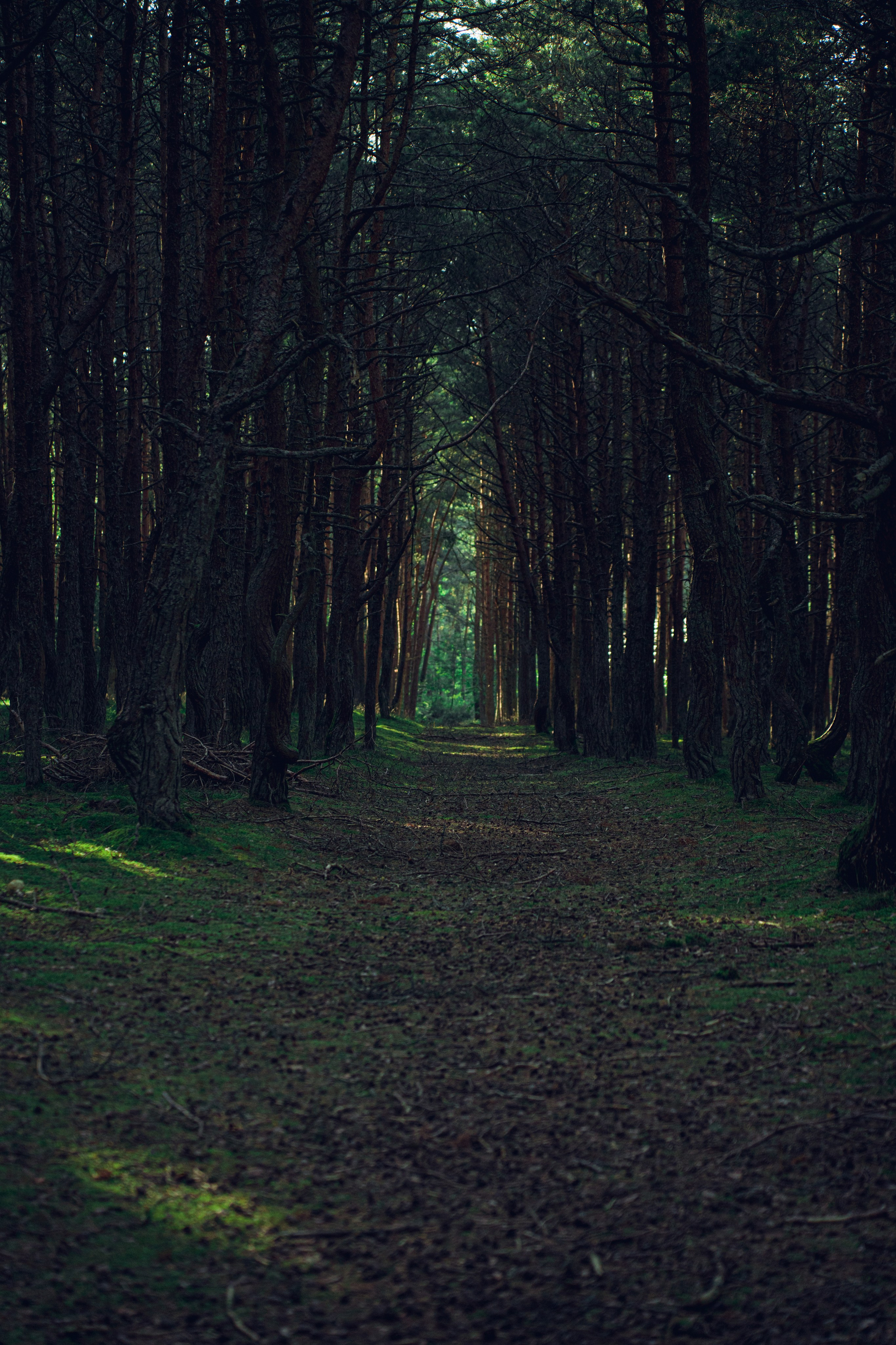 Калининградский трип друзей. Фотограф Мирослава Ряполова, Москва