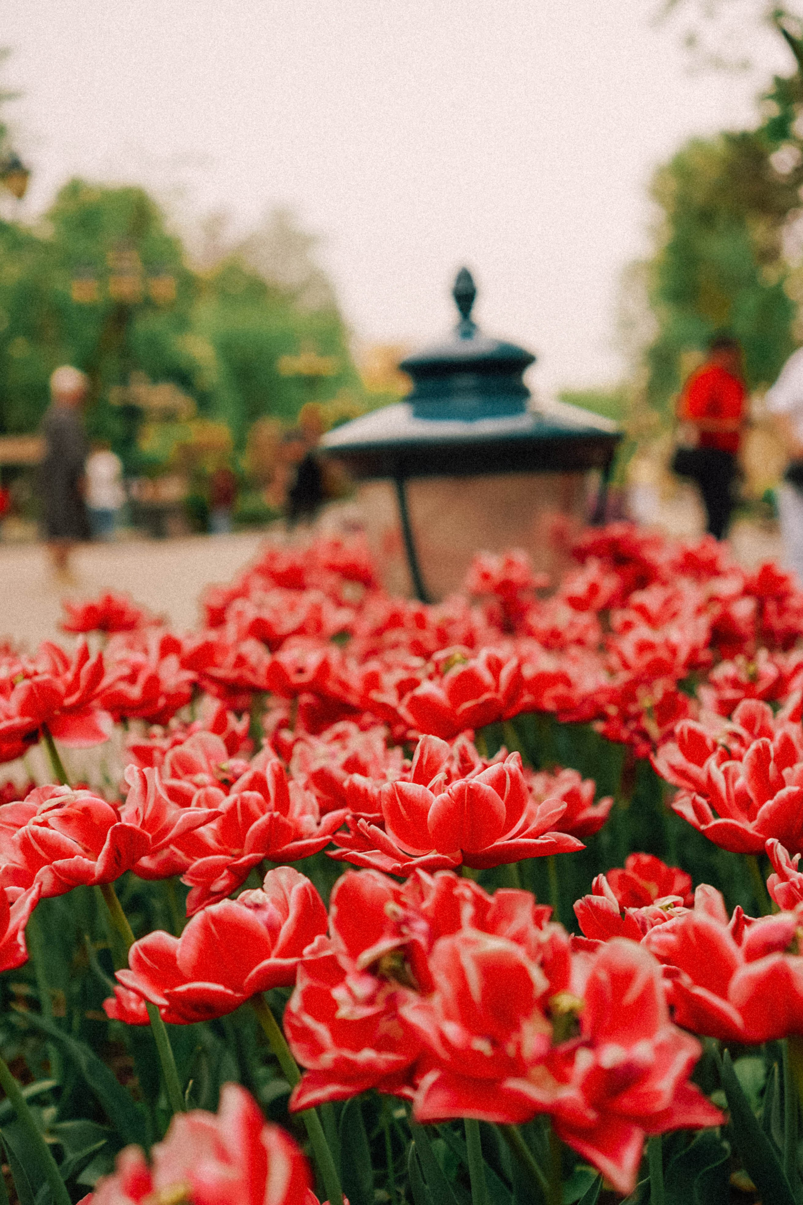 КИСЛОВОДСК. Профессиональный фотограф, Санкт-Петербург — Виктория Богомолова