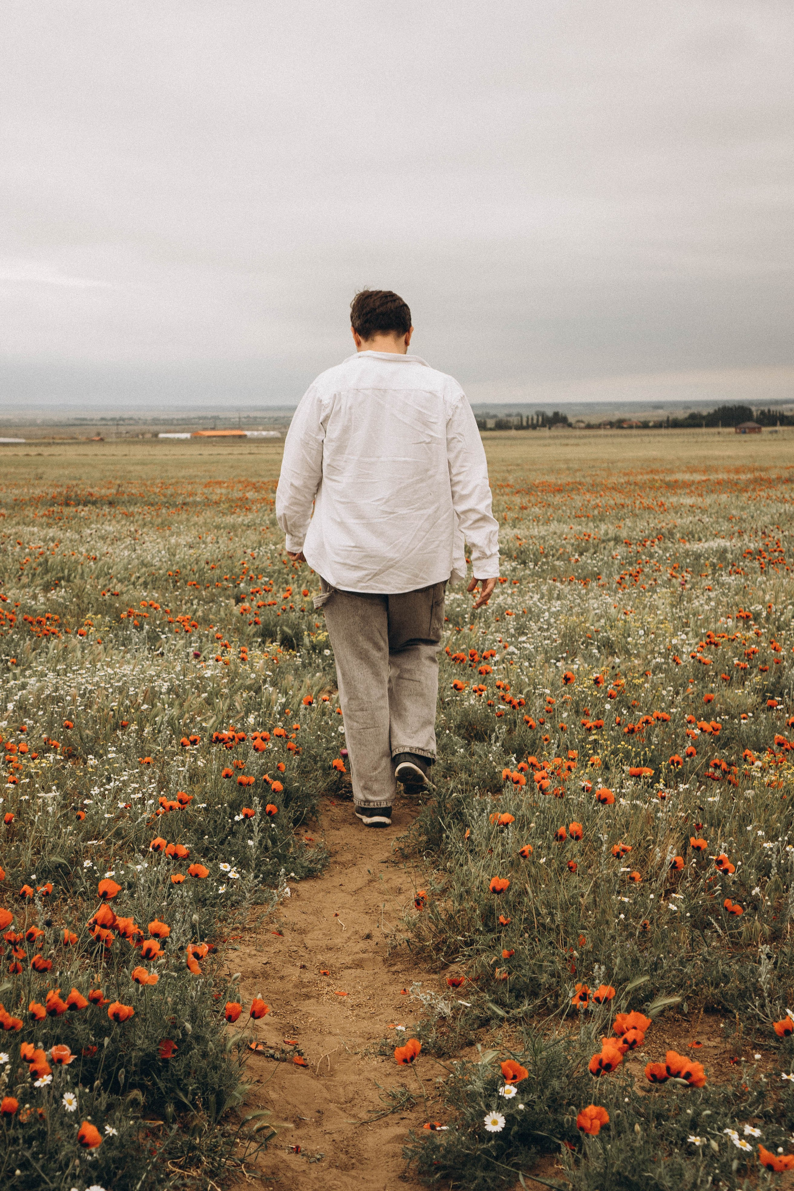Маки. Профессиональный фотограф, Санкт-Петербург — Виктория Богомолова