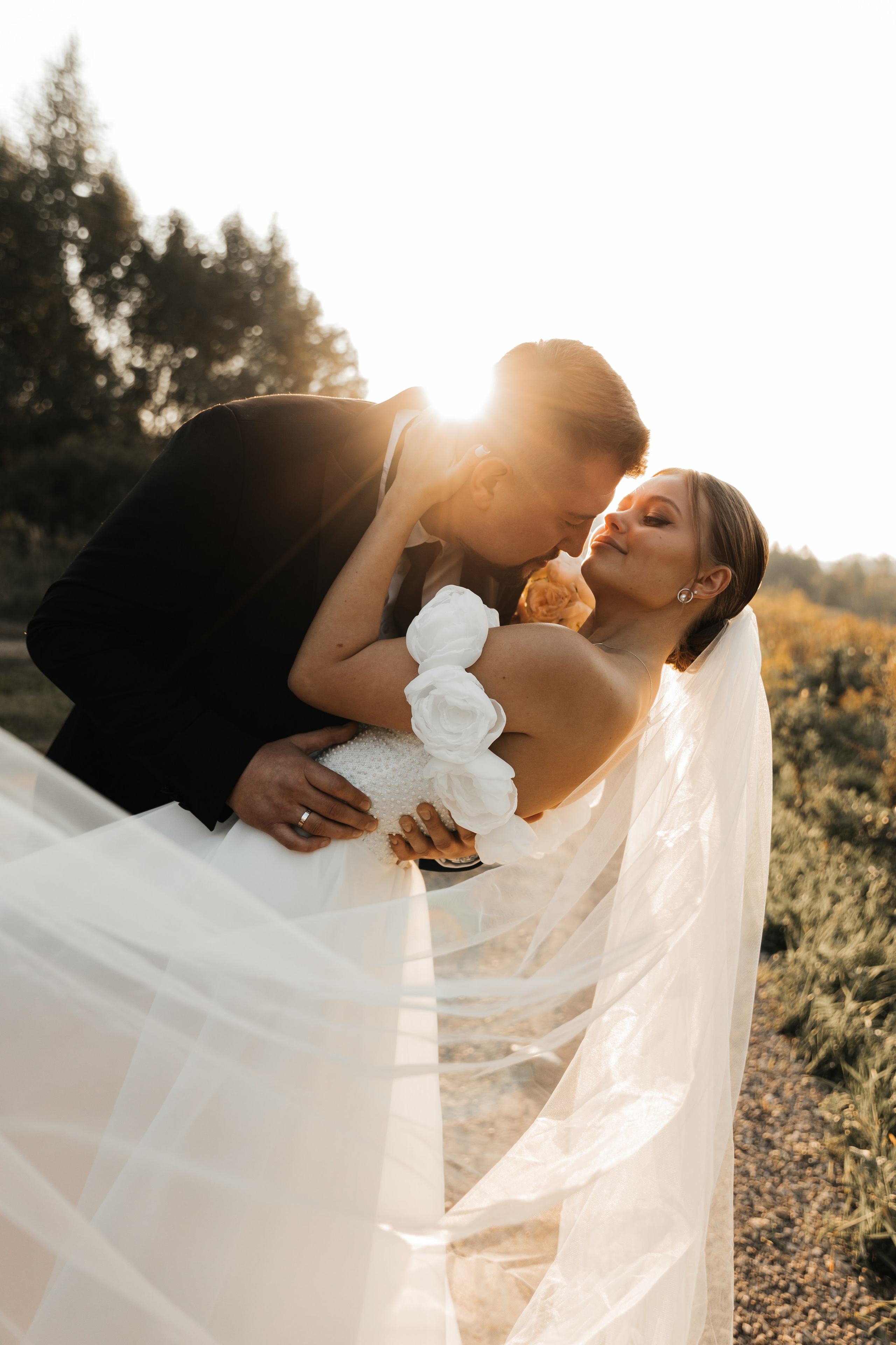 A & V. Главная