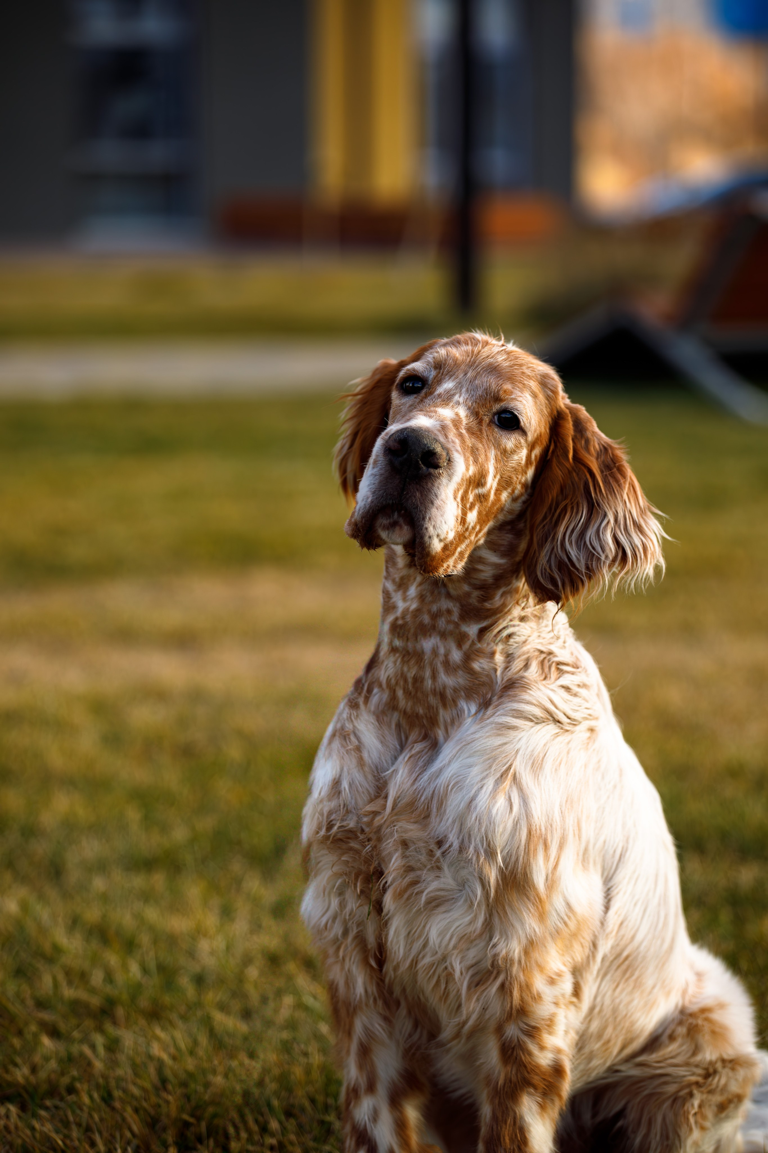 Андрей и Милан. Фотограф Екатерина Козловская