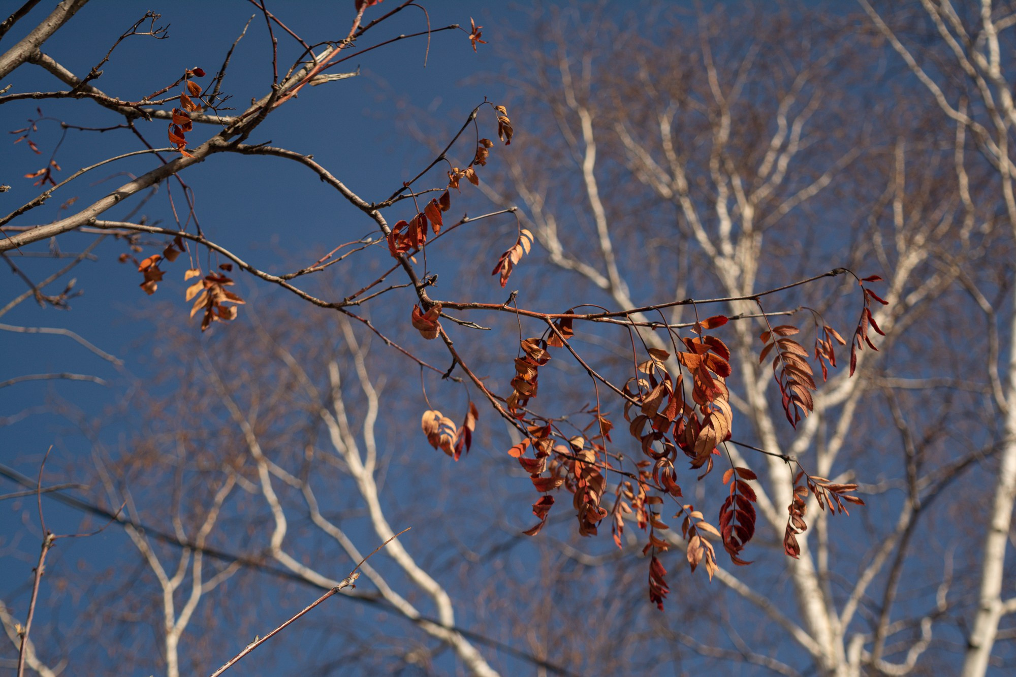 Разное. Репортажный фотограф г. Чита