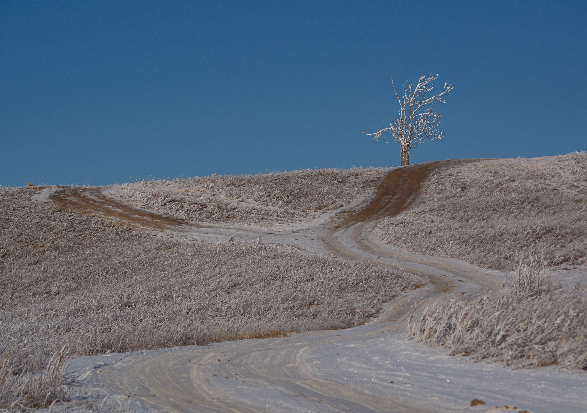Разное. Репортажный фотограф г. Чита