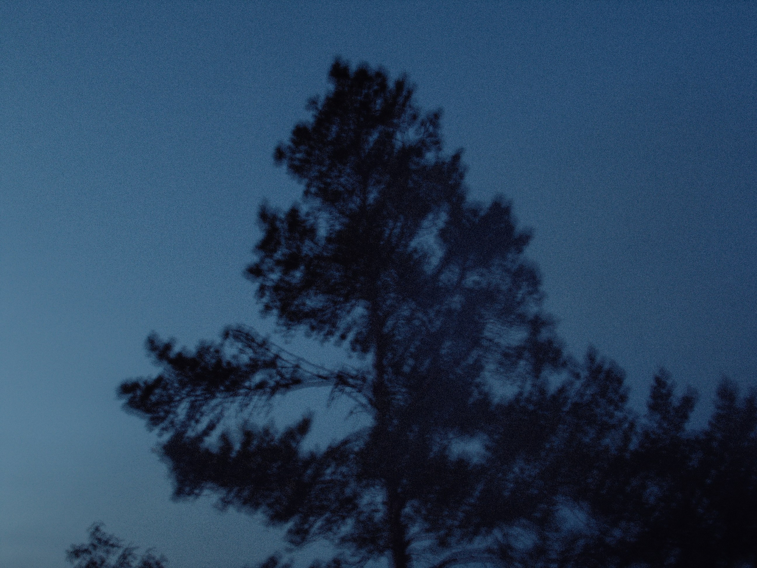 Ладожские шхеры | 2025