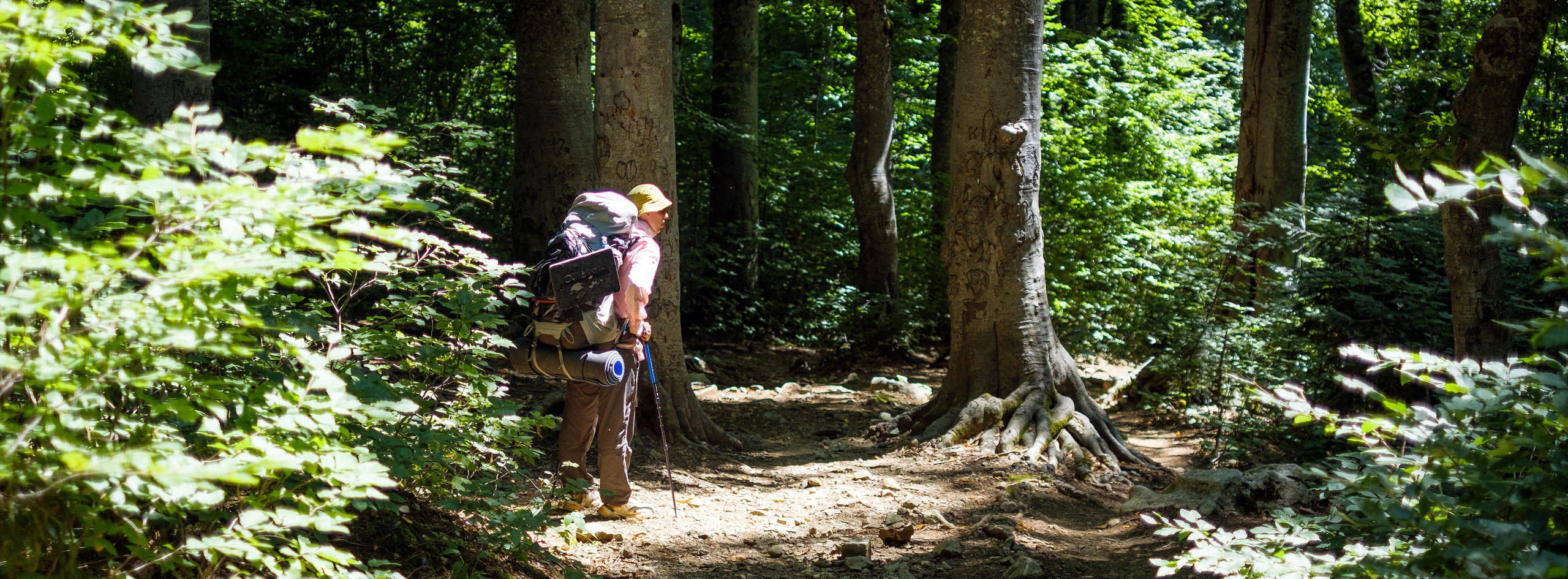 Тридцатка | август 2023
