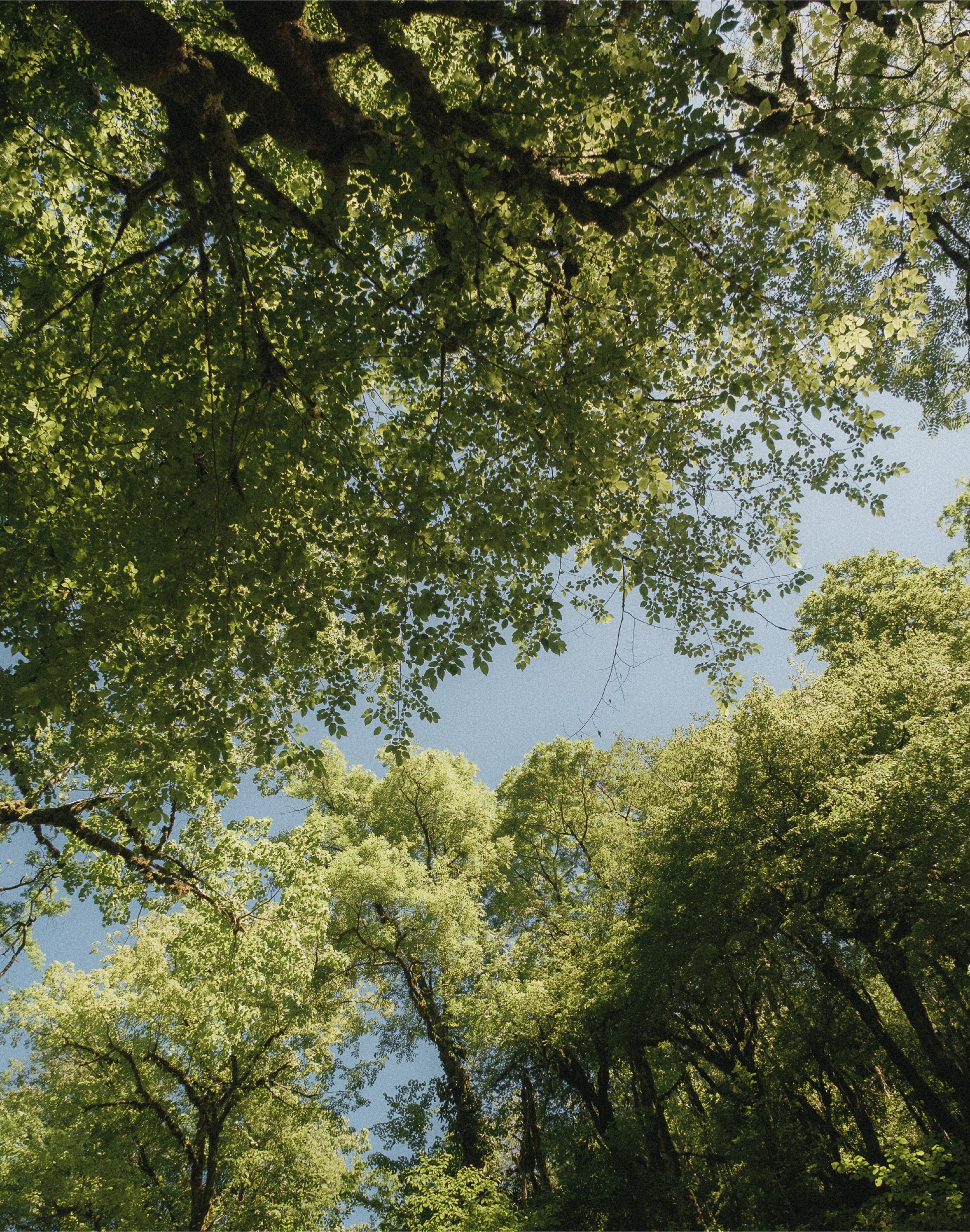 Одно целое. Семейный и свадебный фотограф в Краснодаре