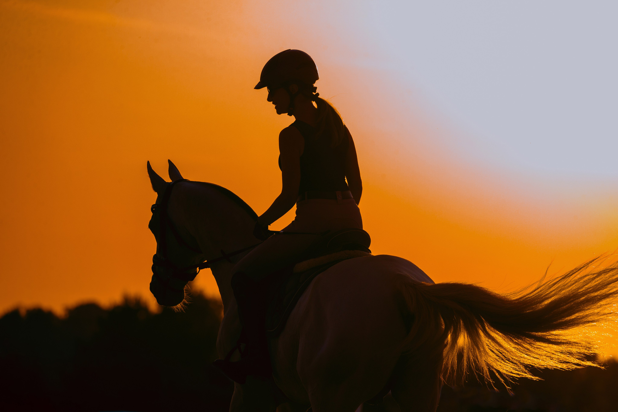 Тренировки. Фотограф-анималист Ксендзова Кристина
