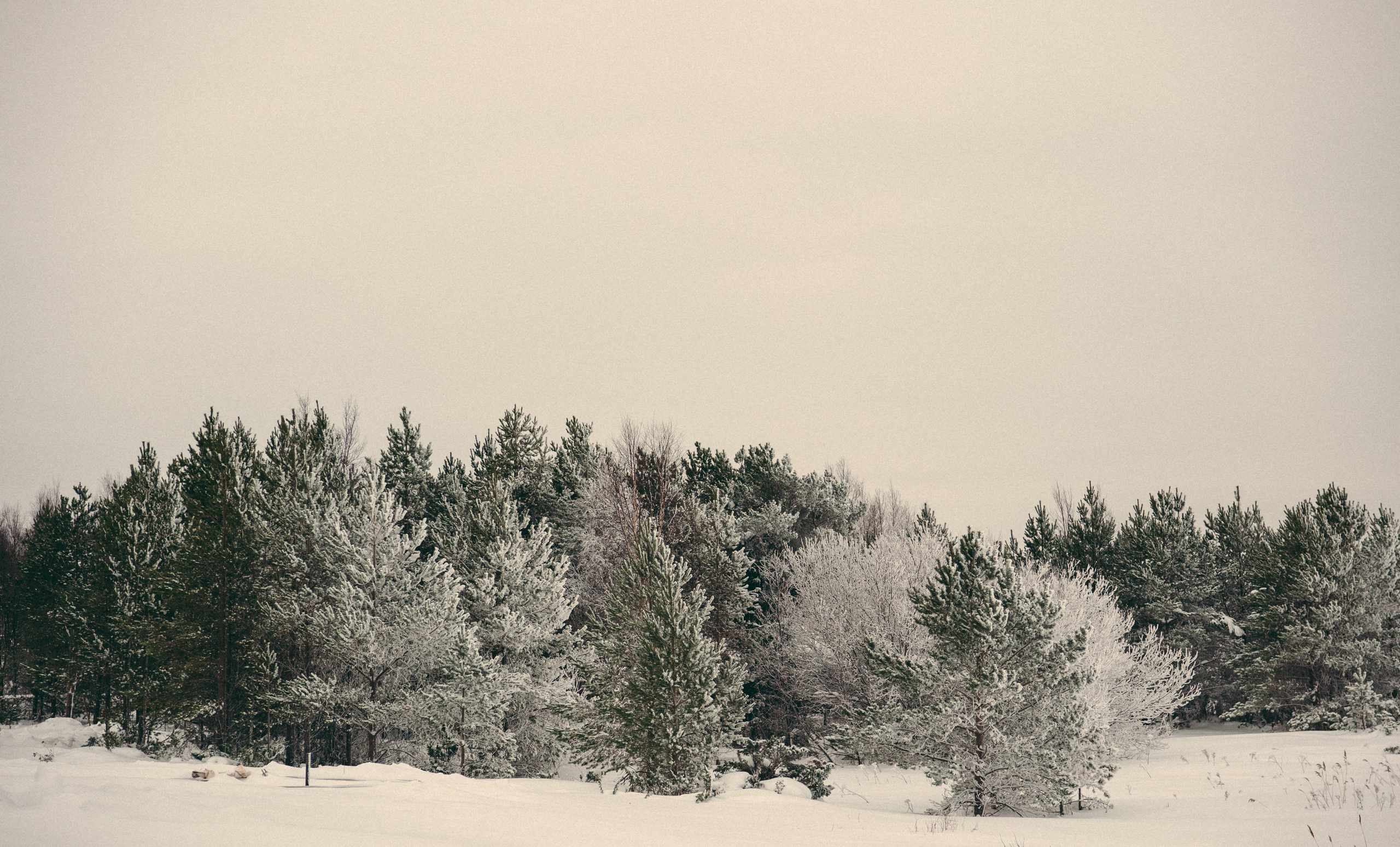 КАРЕЛИЯ / ЗИМА. Создание контента | Фото | Видеосъемка | Александр Ярков