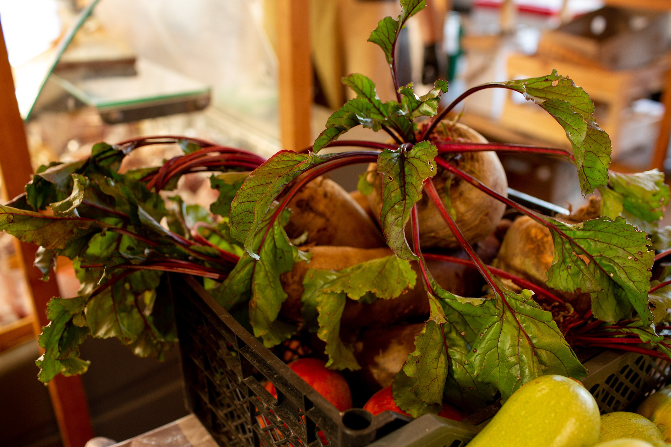 GARAGE-sale ЗАОКСКИЙ (30 сентября 2023 года). Фотограф Наталья Угрюмова, г. Москва