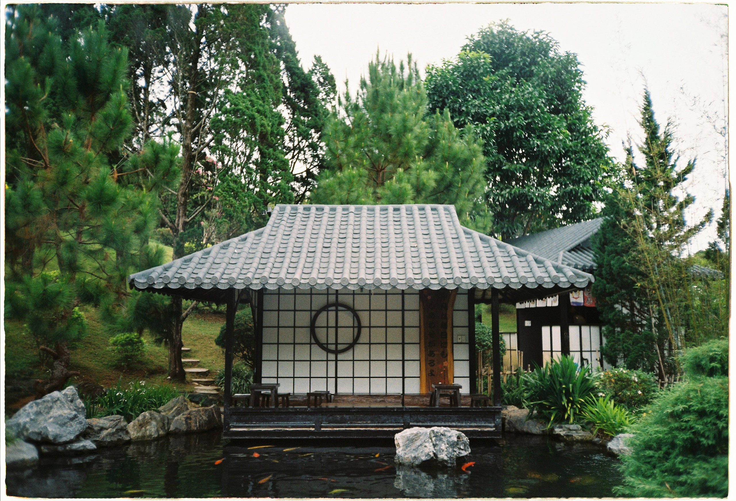 Que garden. Film Photographer in Da Nang, Vietnam — Tanya Parfenteva