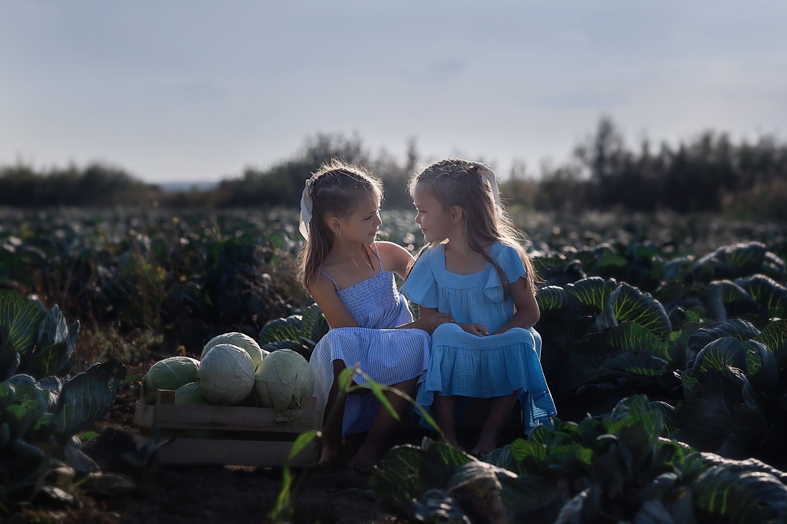 Капустное поле_Ленинградская область. Семейный фотограф в Санкт-Петербурге