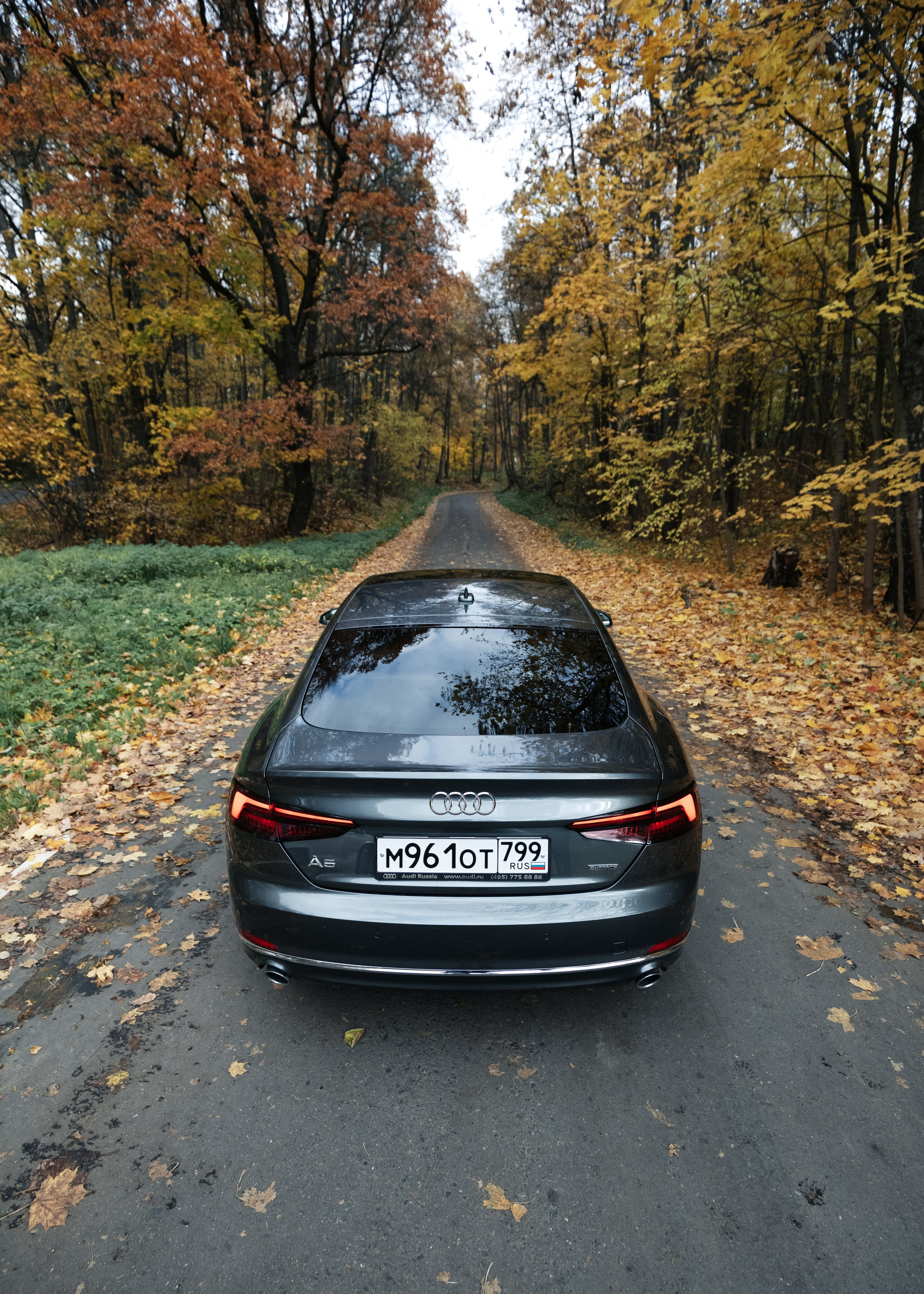 AUDI. Вадим Ветров