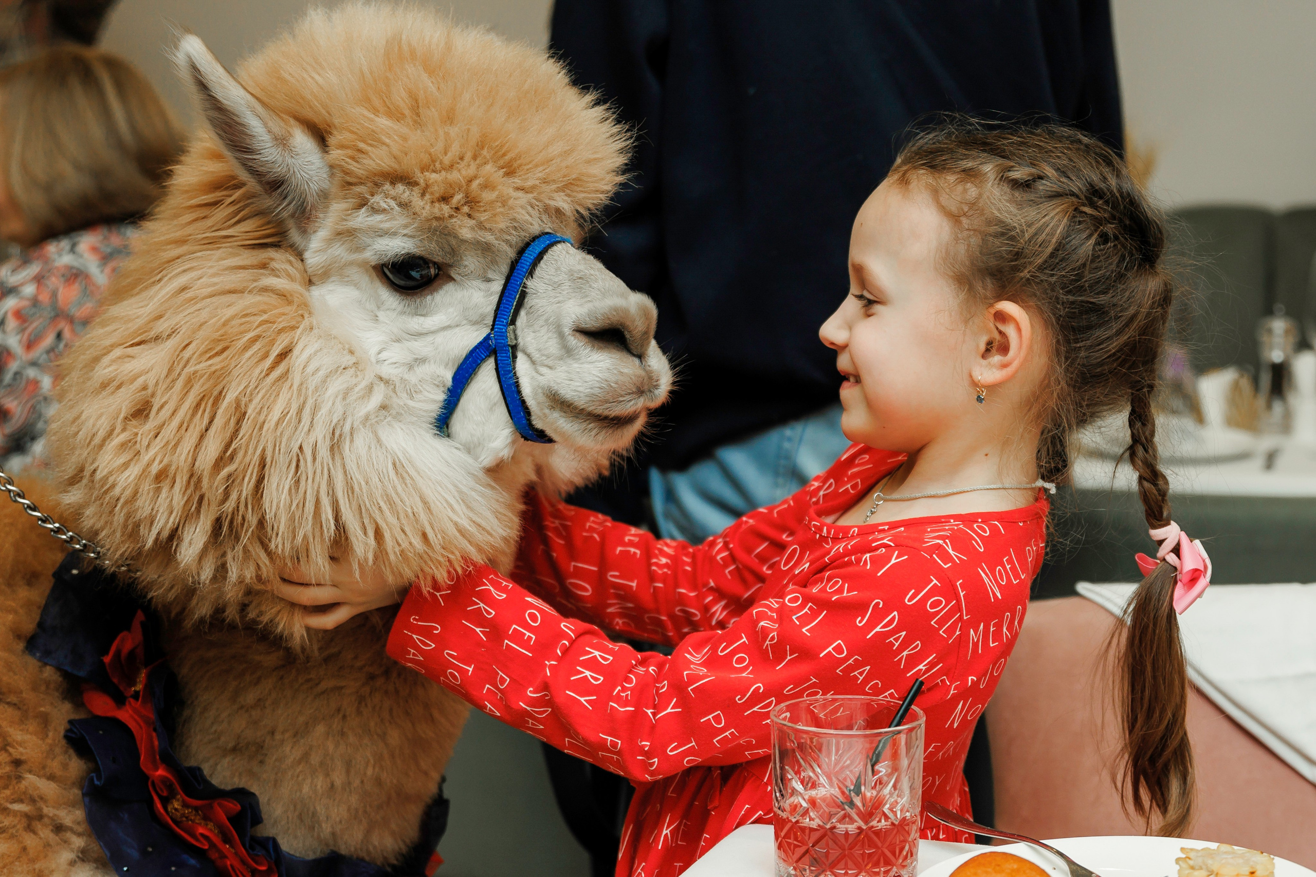 Банкетный репортаж. Главная