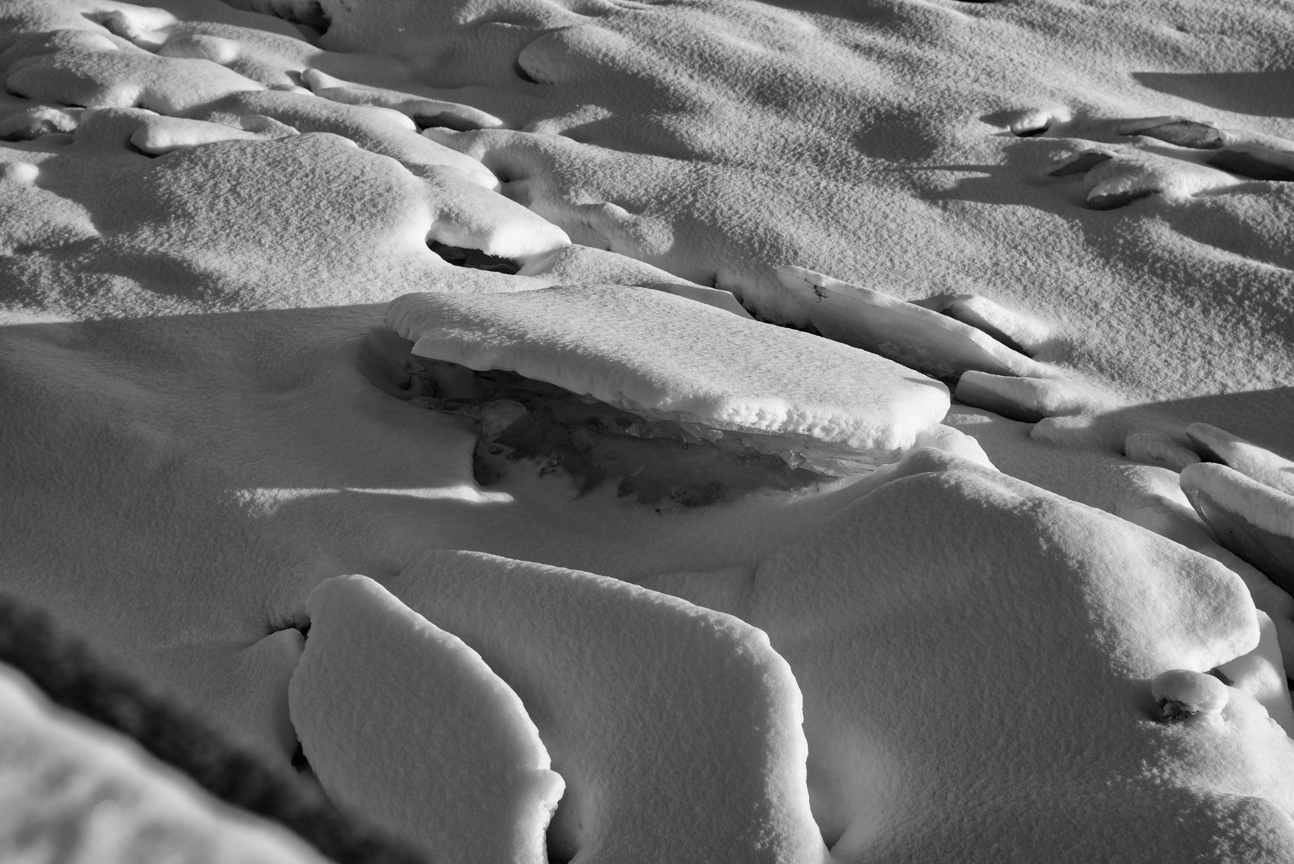 Санкт Петербург. Фотограф Милена Яновска