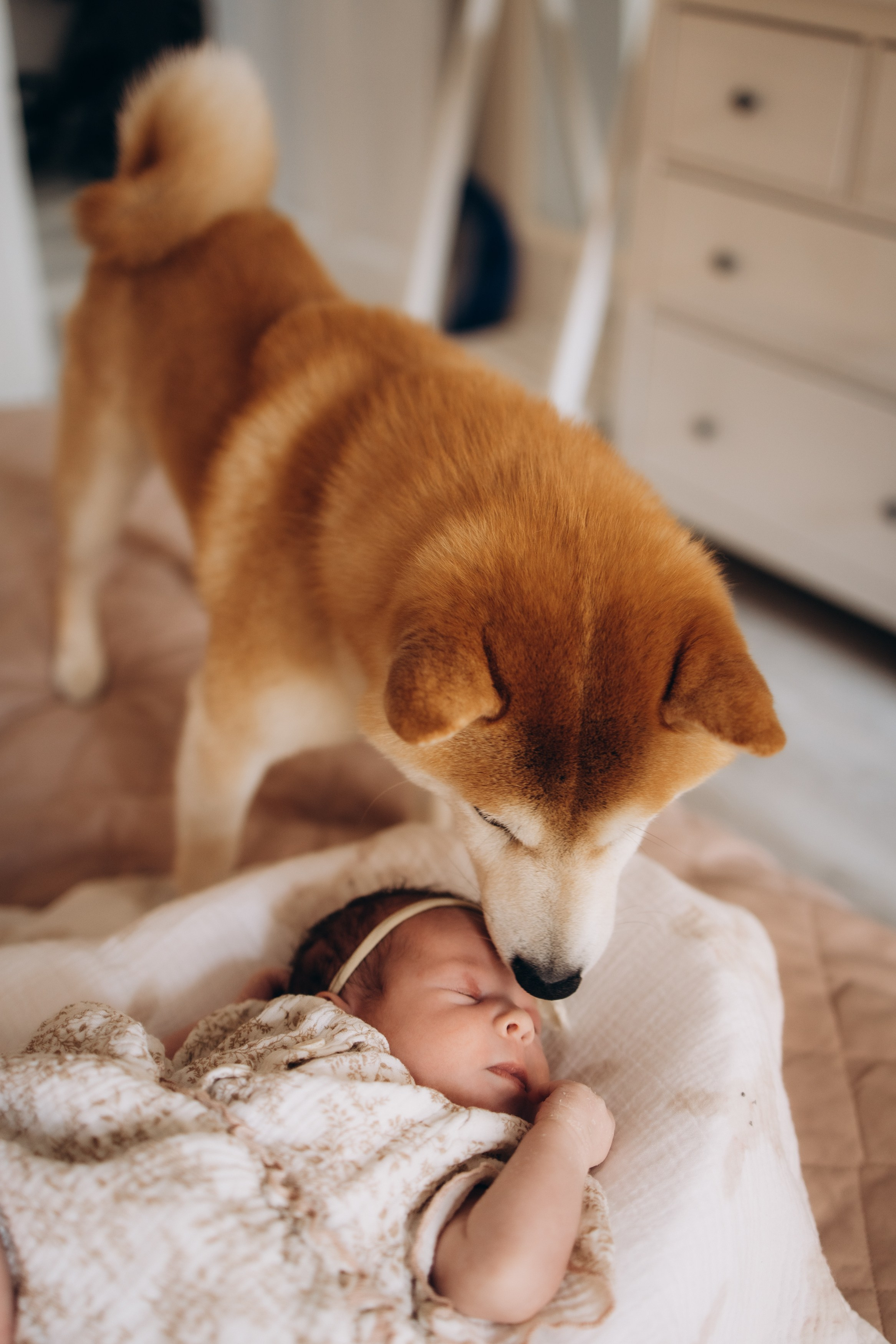 Малышка Луна. Семейный, ньюборн newborn фотограф, фотограф новорождённых в Санкт-Петербурге, Пушкине, Павловске. Павлова Анастасия