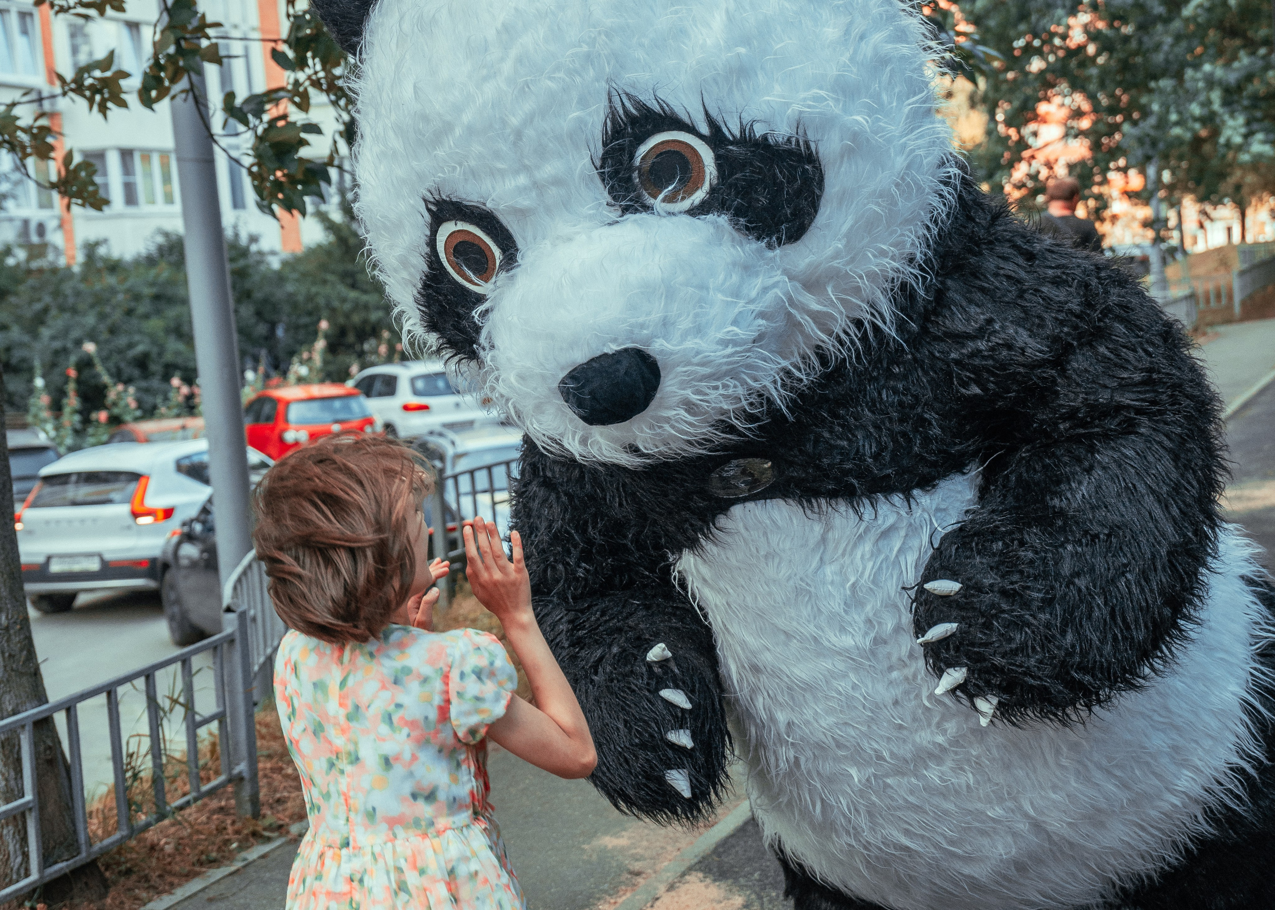 От мишки с любовью. Крамер Юлиана детский и семейный фотограф