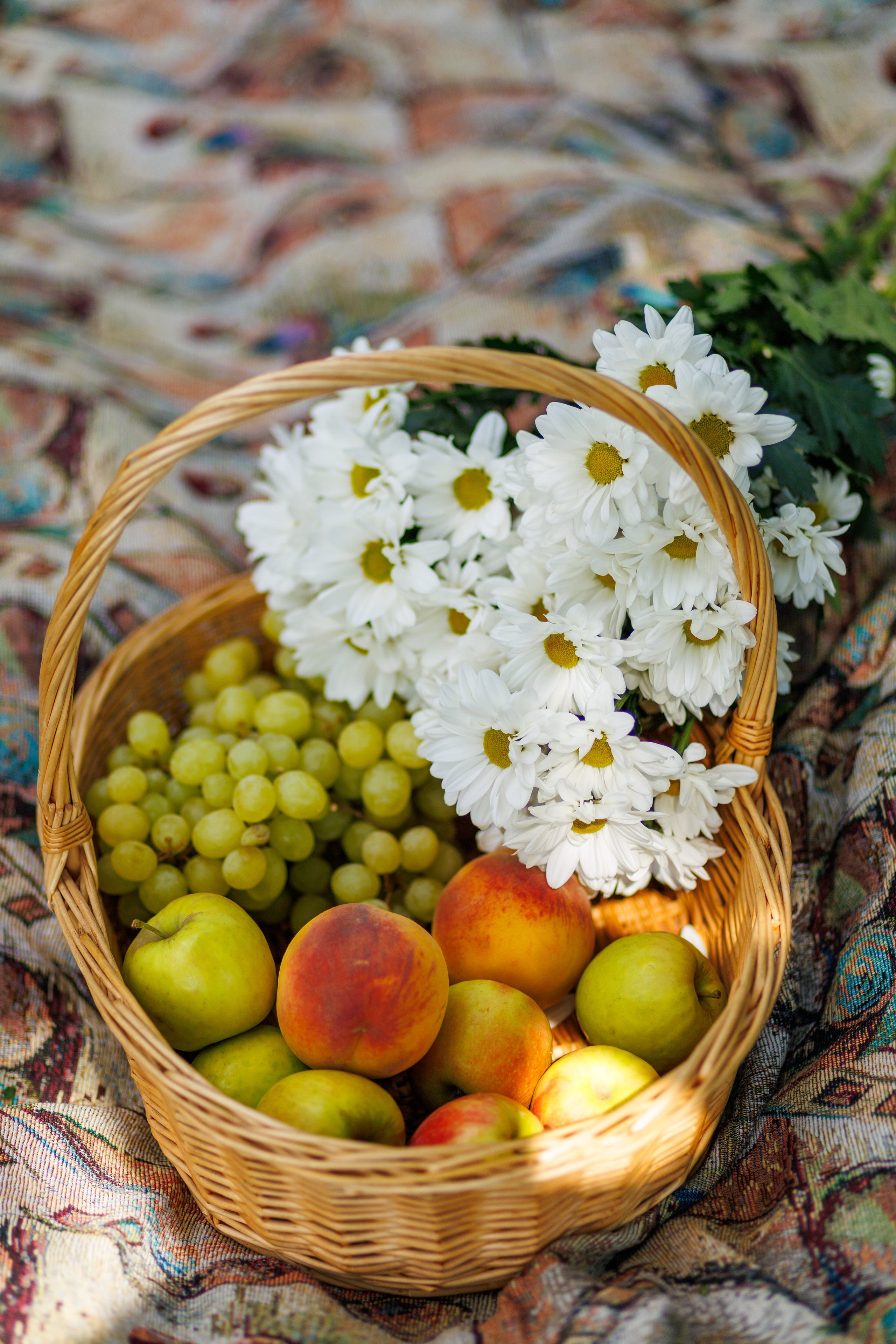 Семейная фотосессия гуково ростов шахты новошахтинск novikov.foto. Фотограф Гуково Григорий Новиков novikov.foto