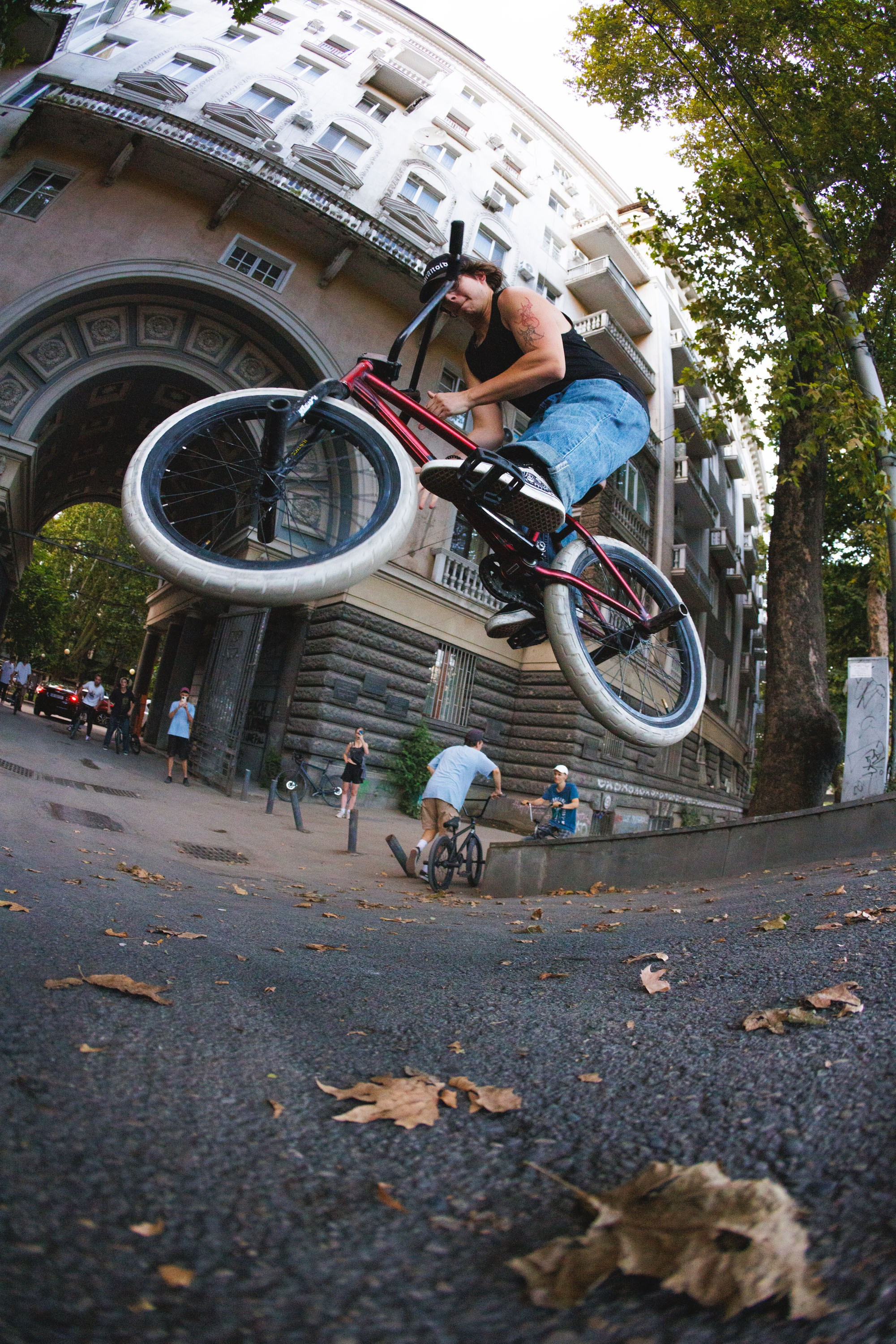 Action sport photography. Bivol images