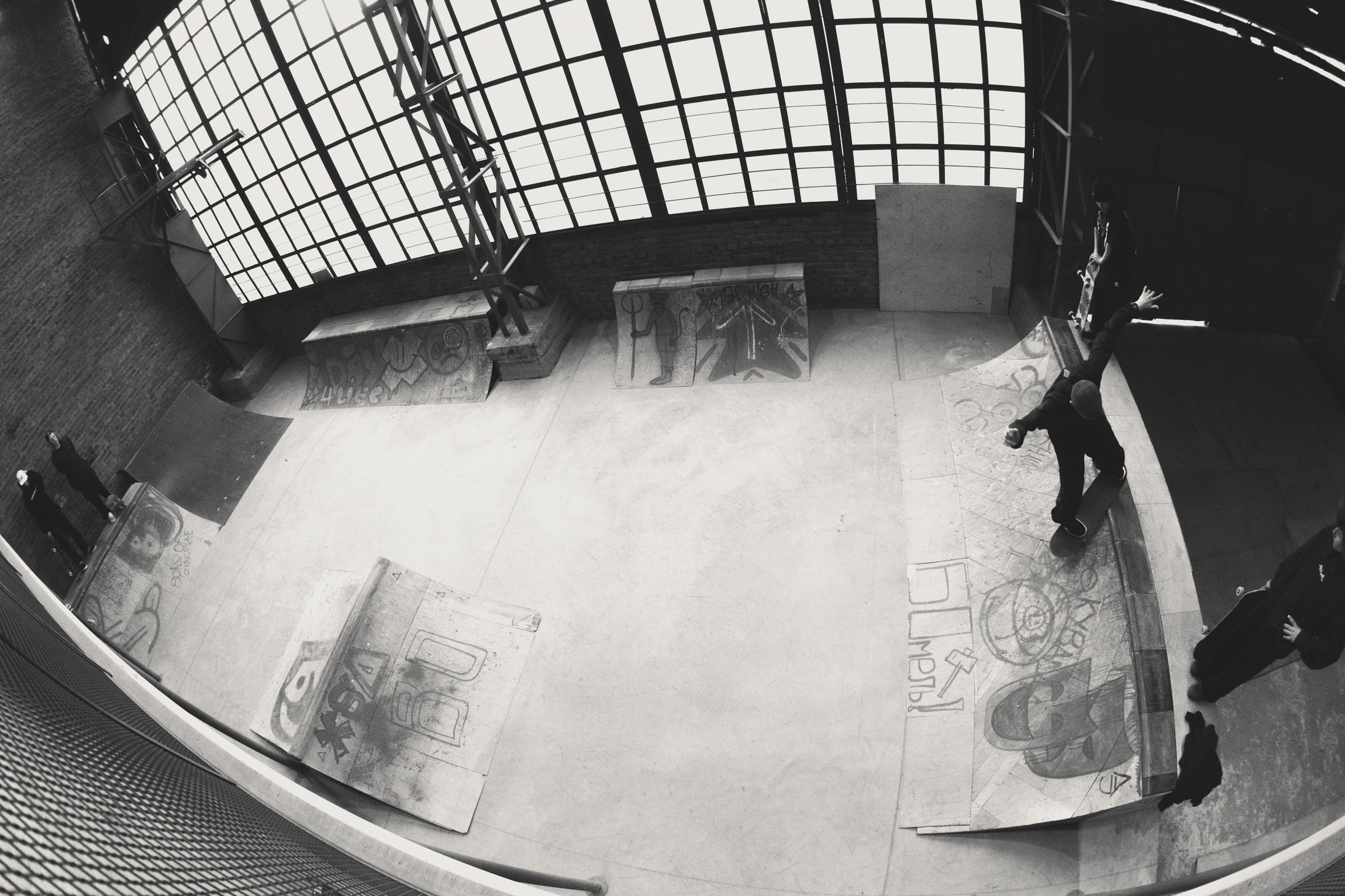 Lifestyle. Bivol images