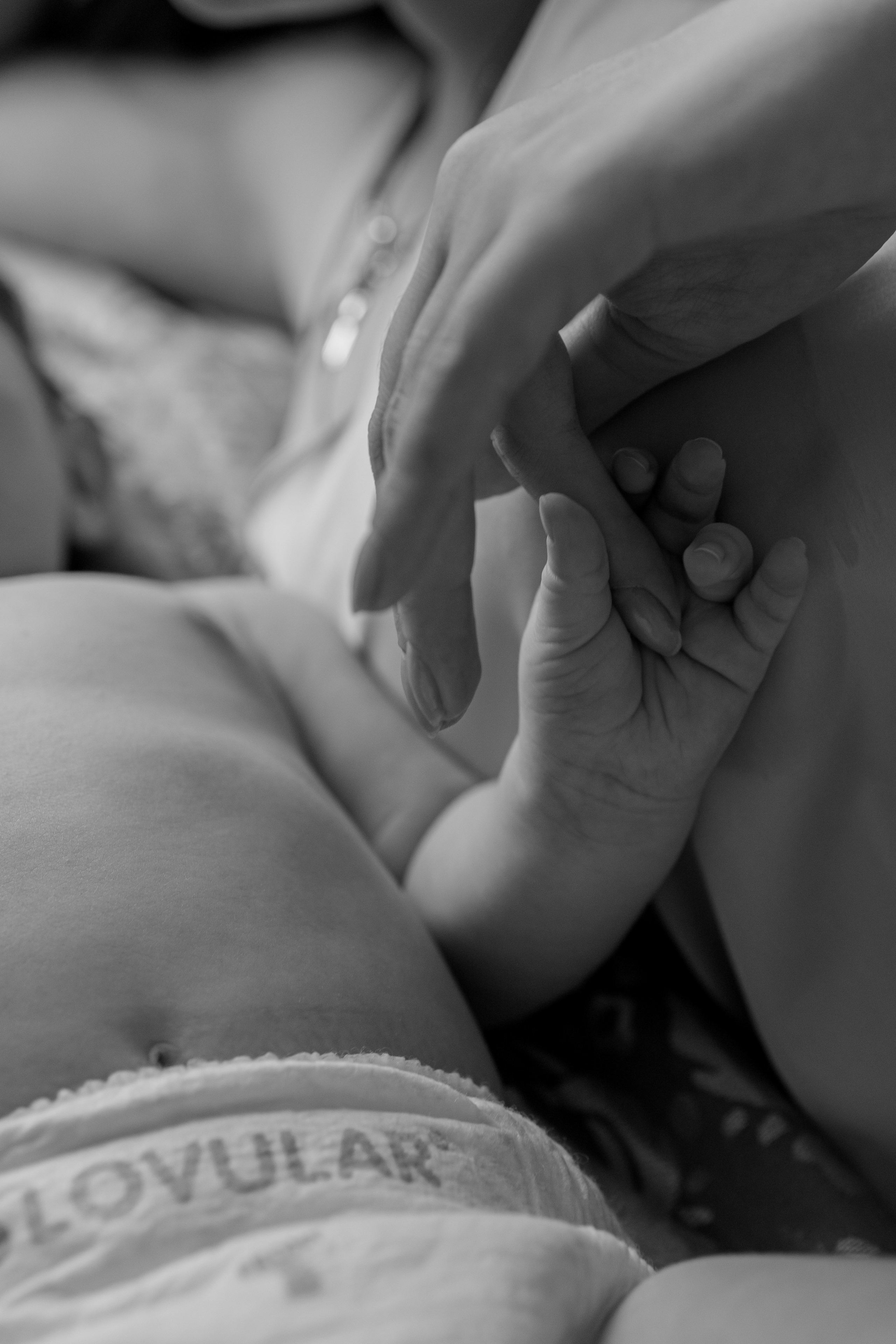 Артур, Лика, Давид. Фотограф беременности и материнства в Москве Мария Менендес-Гонсалес