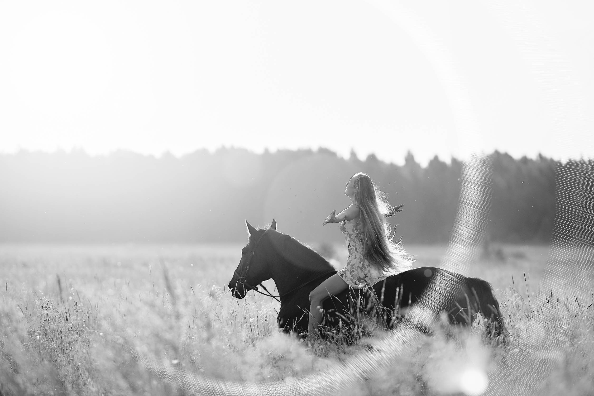 Фотопроекты и съемки на природе, с лошадьми, самолетами и авто. Выездная фотосессия. Фотограф, фотопроекты Михаила Семенова в Ярославле. Фотошкола