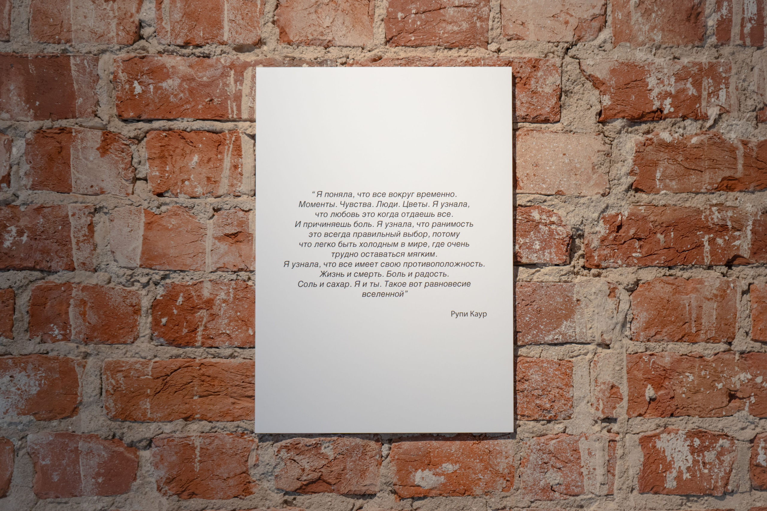 Экспозиция «Бина» Вероники Рудневой-Рязанцевой. Юля Мурашова портретный и документальный фотограф