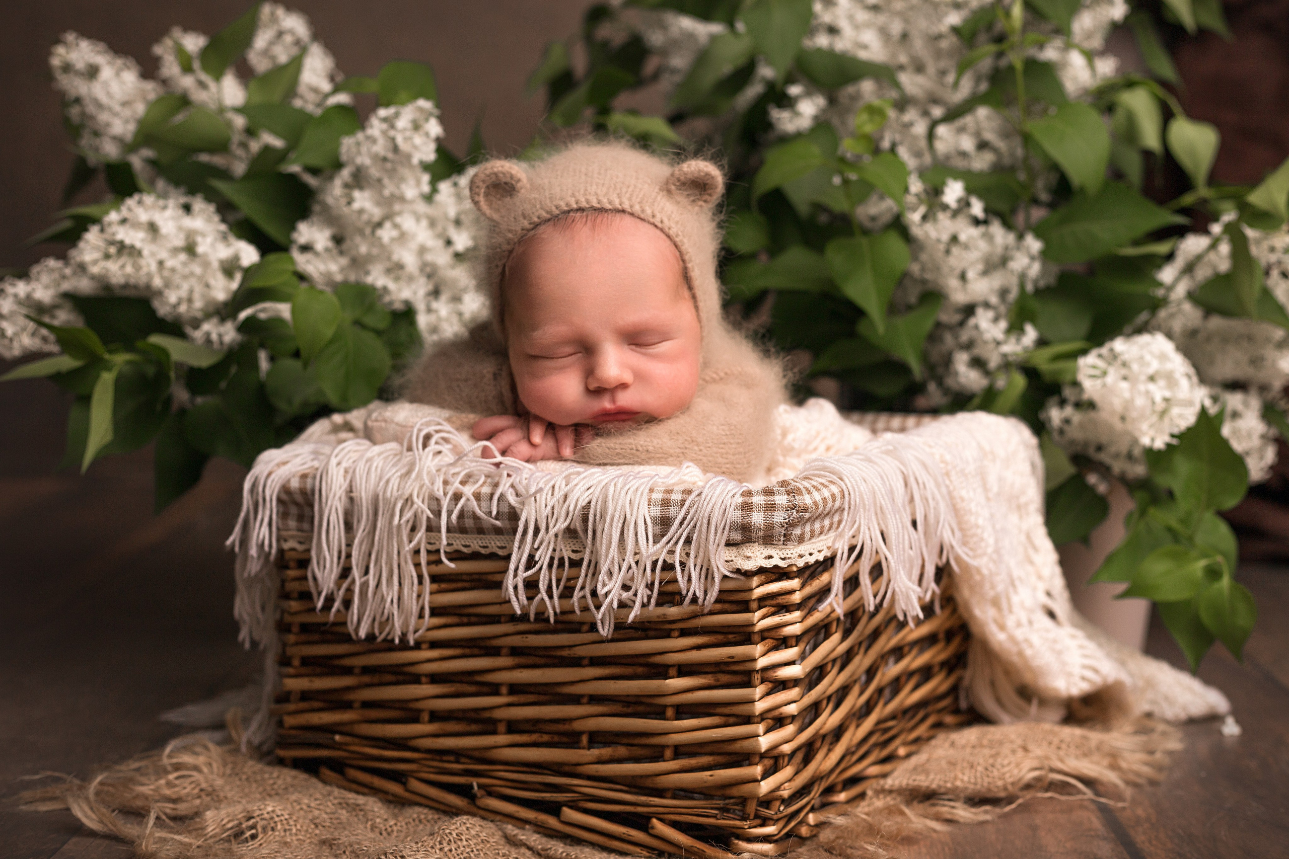 Фотосессия новорождённых Омск — цены и пакеты. Фотограф новорожденных в Омске Анастасия Моисеева