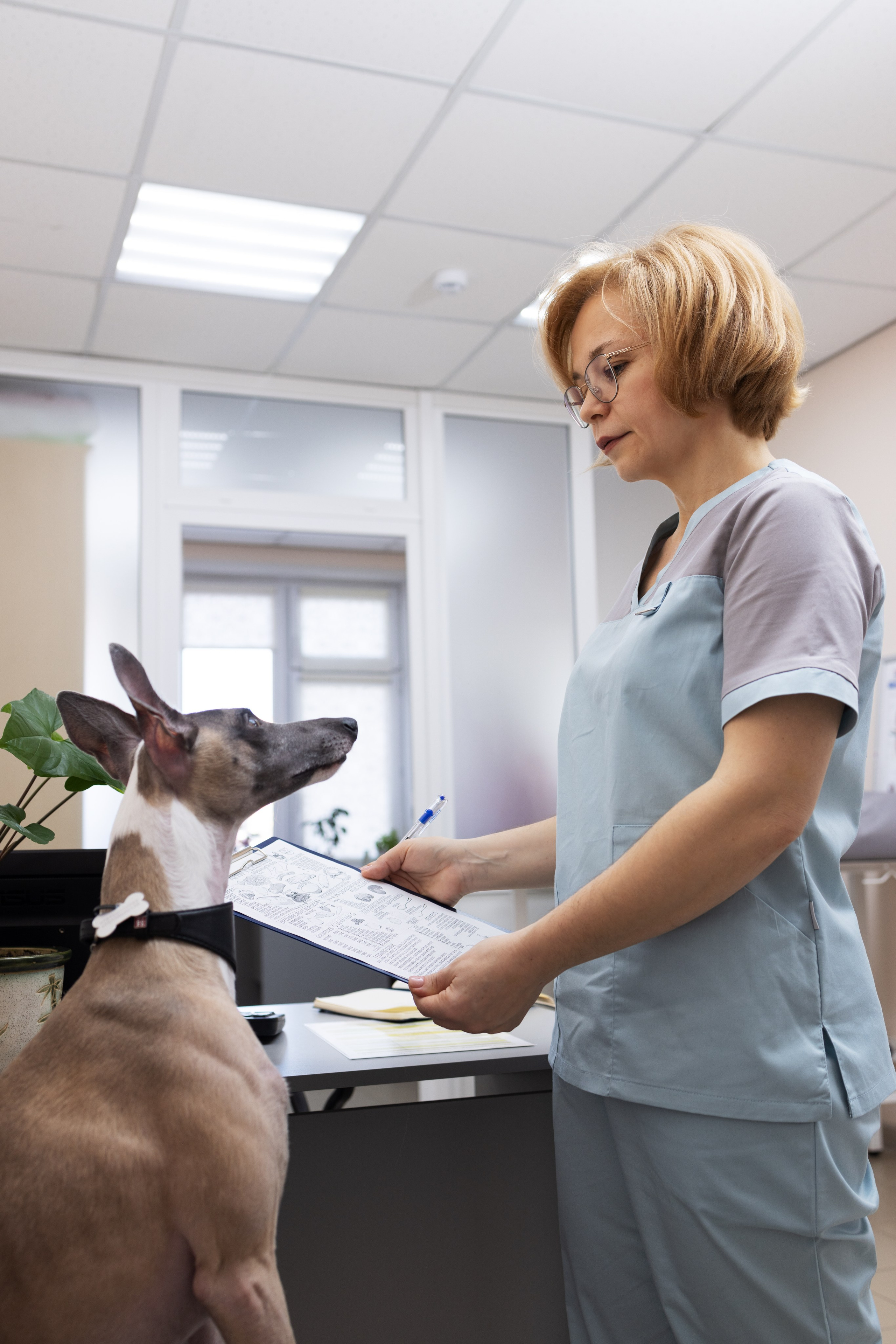 Ветеринарный врач-диетолог. Портретная и индивидуальная фотосъёмка в Граце и Тюмени