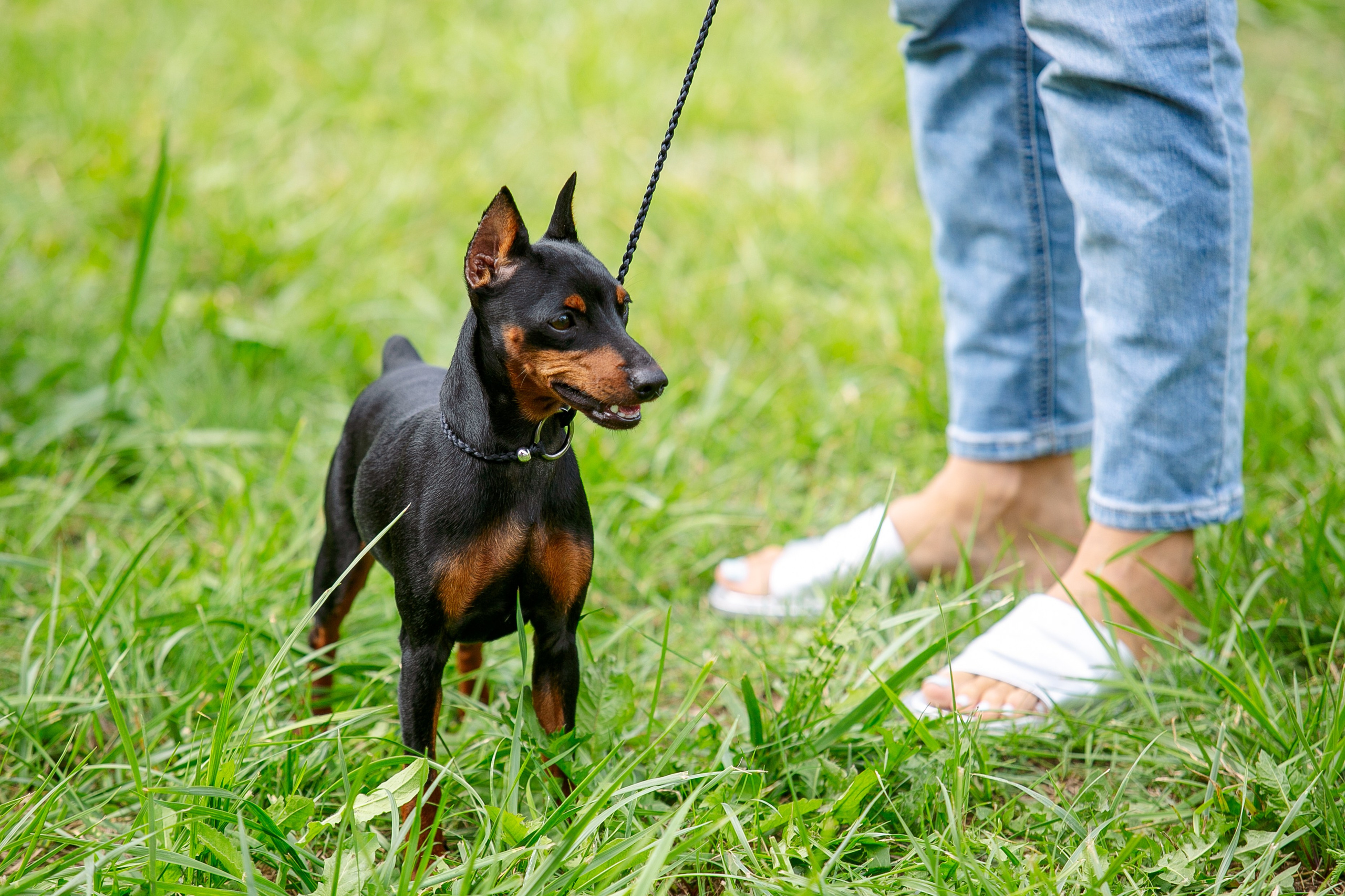Окунулась вновь в атмосферу выставки…. Школьный фотограф в Туле Светлана Привезенцева
