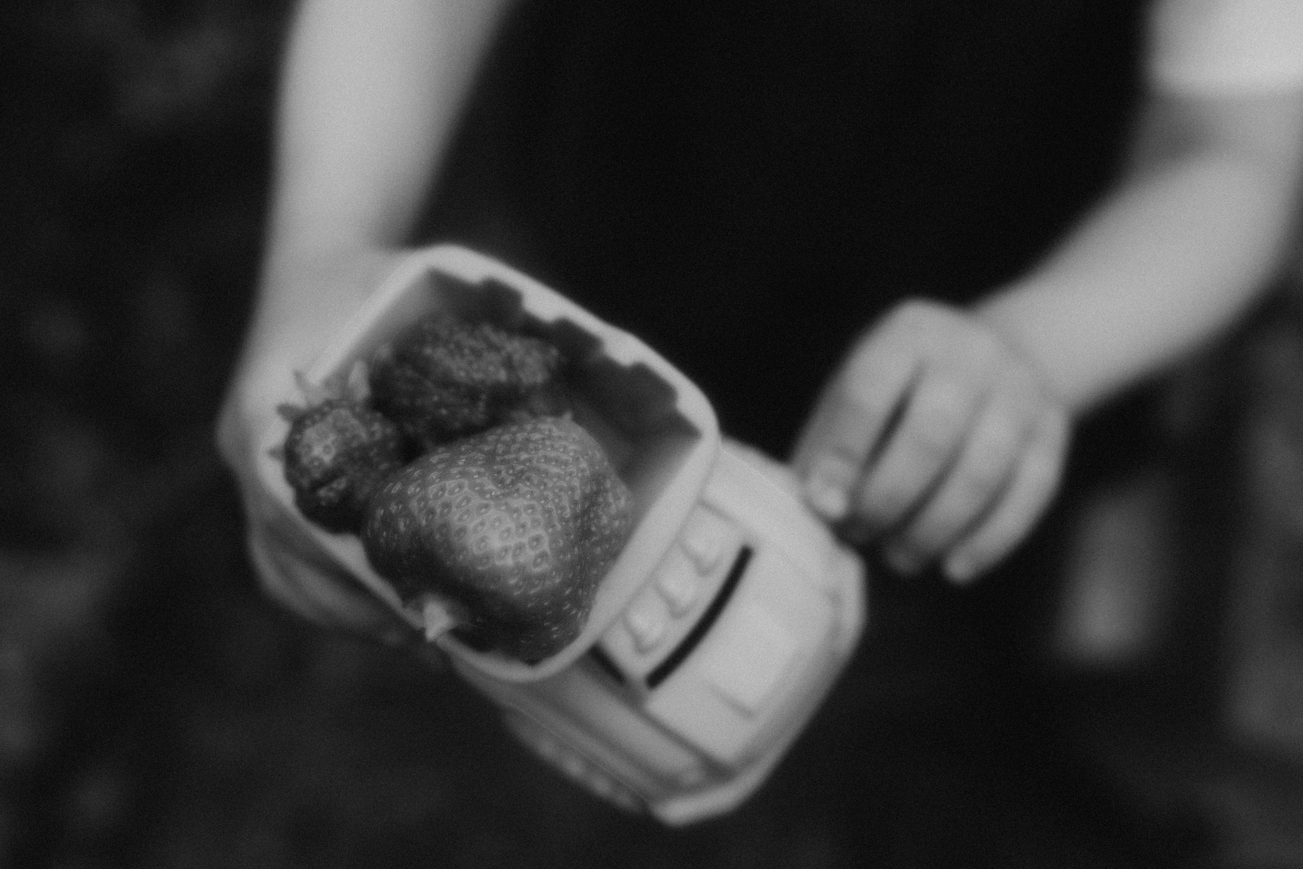 Про домашний уют на севера. Семейный фотограф в Мурманске Екатерина Юшкова