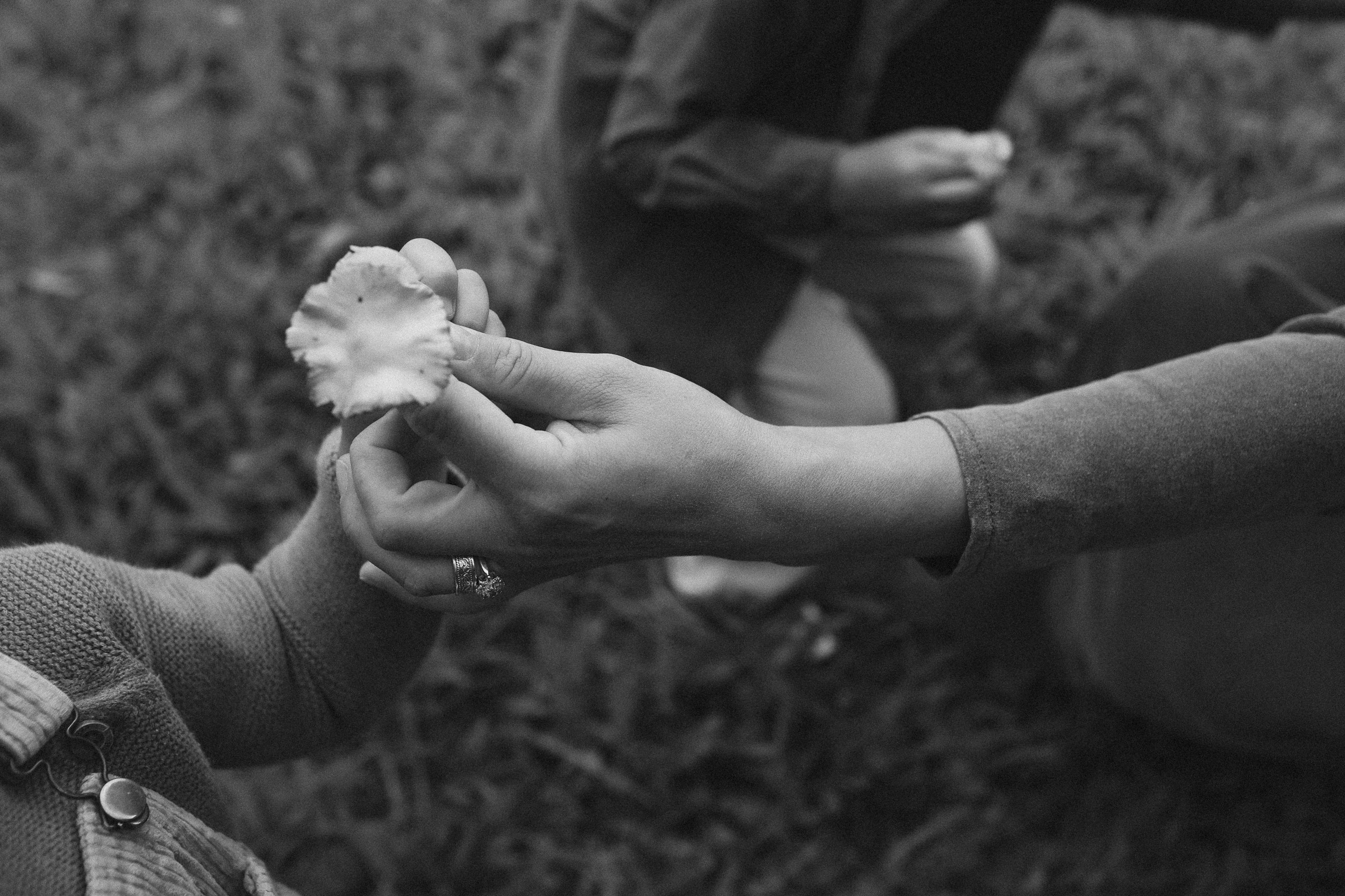 Кошки-Мышки. Семейный фотограф в Москве Алевтина Носова