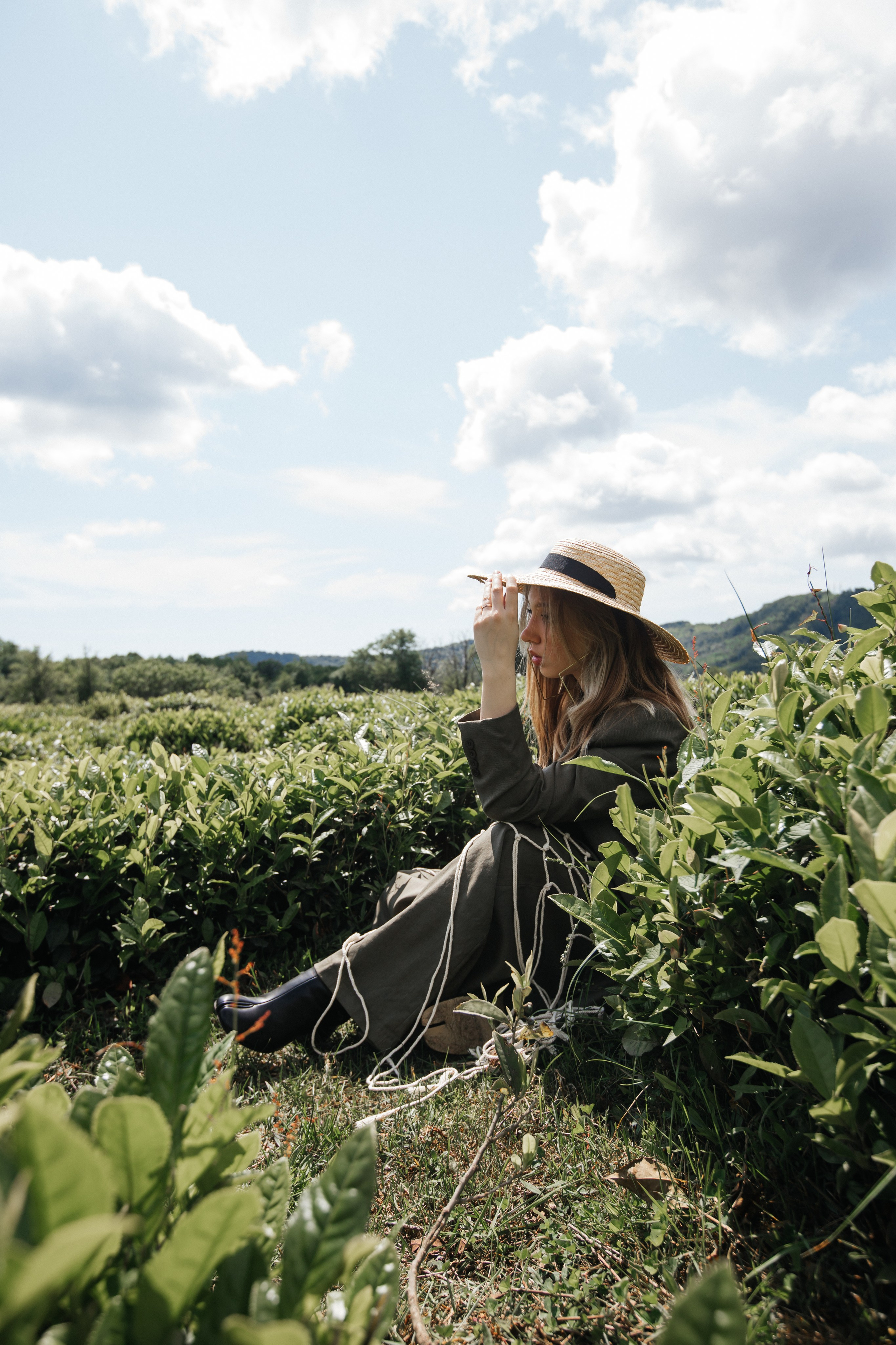 Tea plantation. Efimova Model Agency