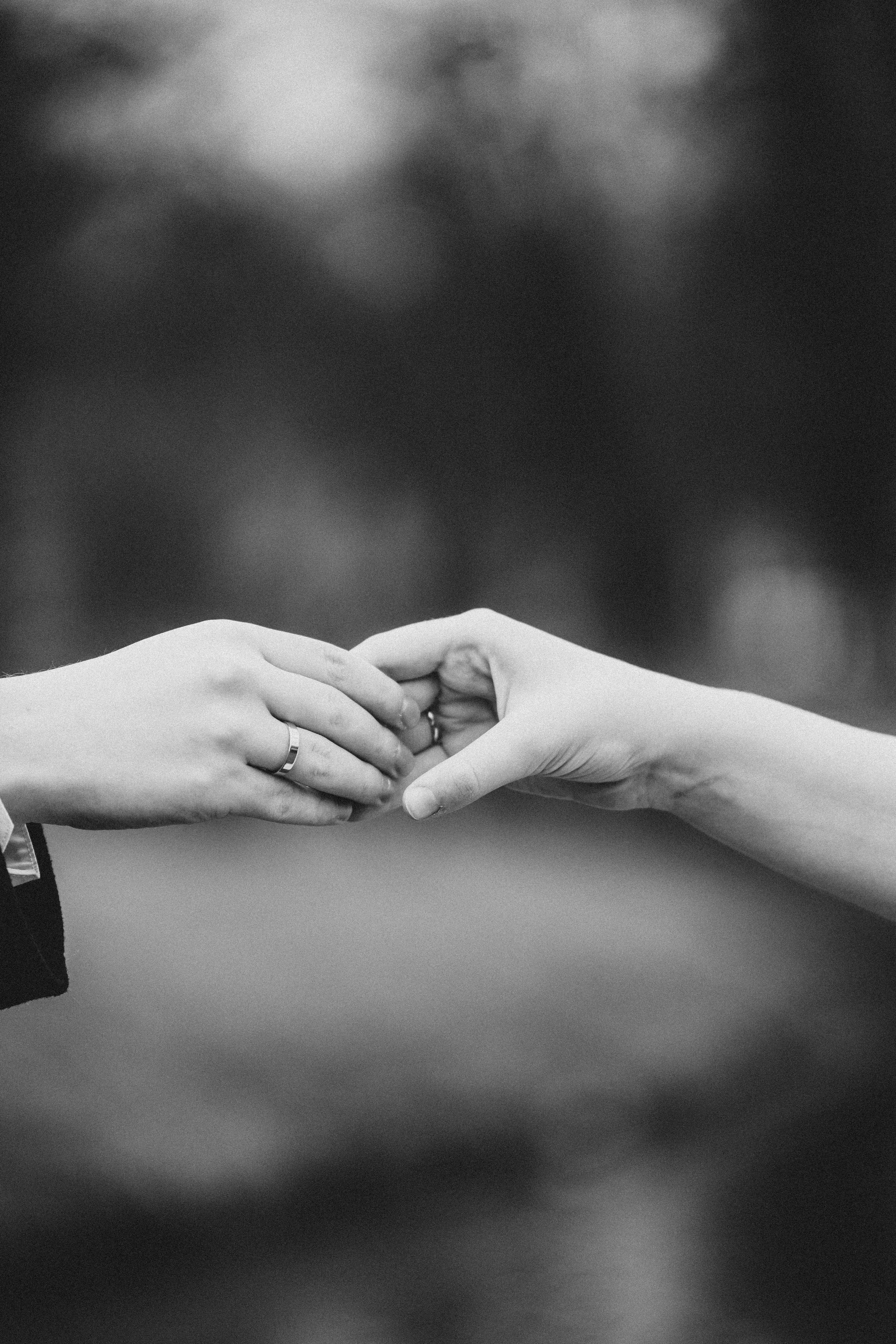 СВАДЕБНАЯ ВО ВТОРОМ ДВОРЦЕ И ПРОГУЛКА В ТАВРИЧЕСКОМ САДУ ЧБ. Профессиональный фотограф, Санкт-Петербург — Виктория Богомолова