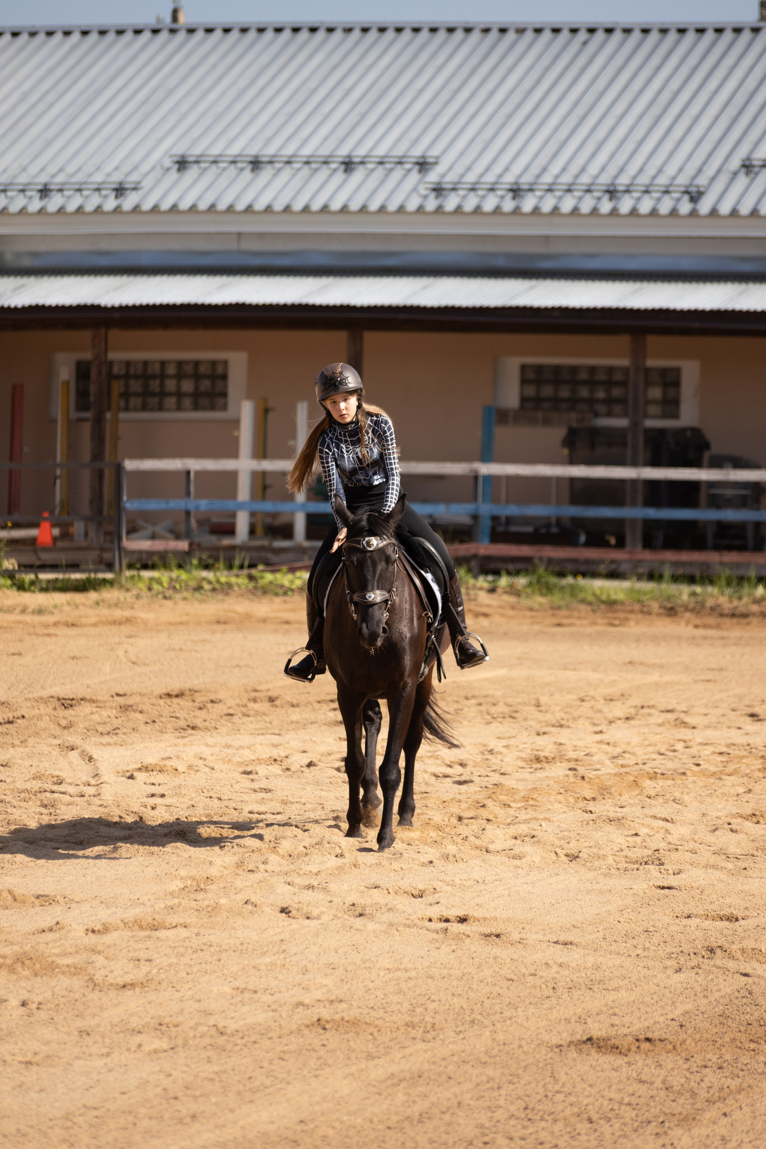 Конюшня. Фотограф в Москве и Истре