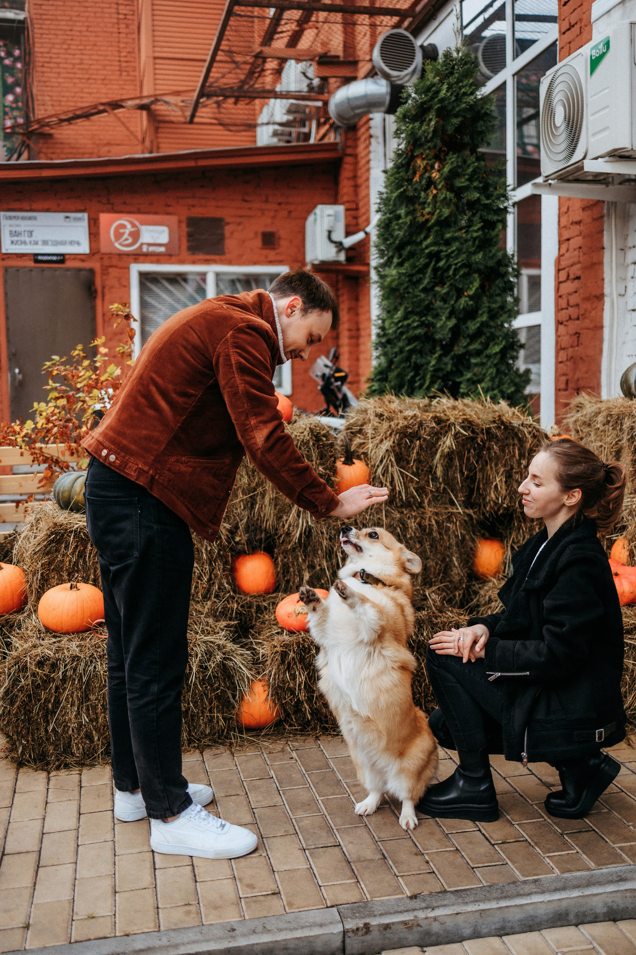 Вера, Саша и Муна. Фотограф-анималист Елена Радченко, Москва