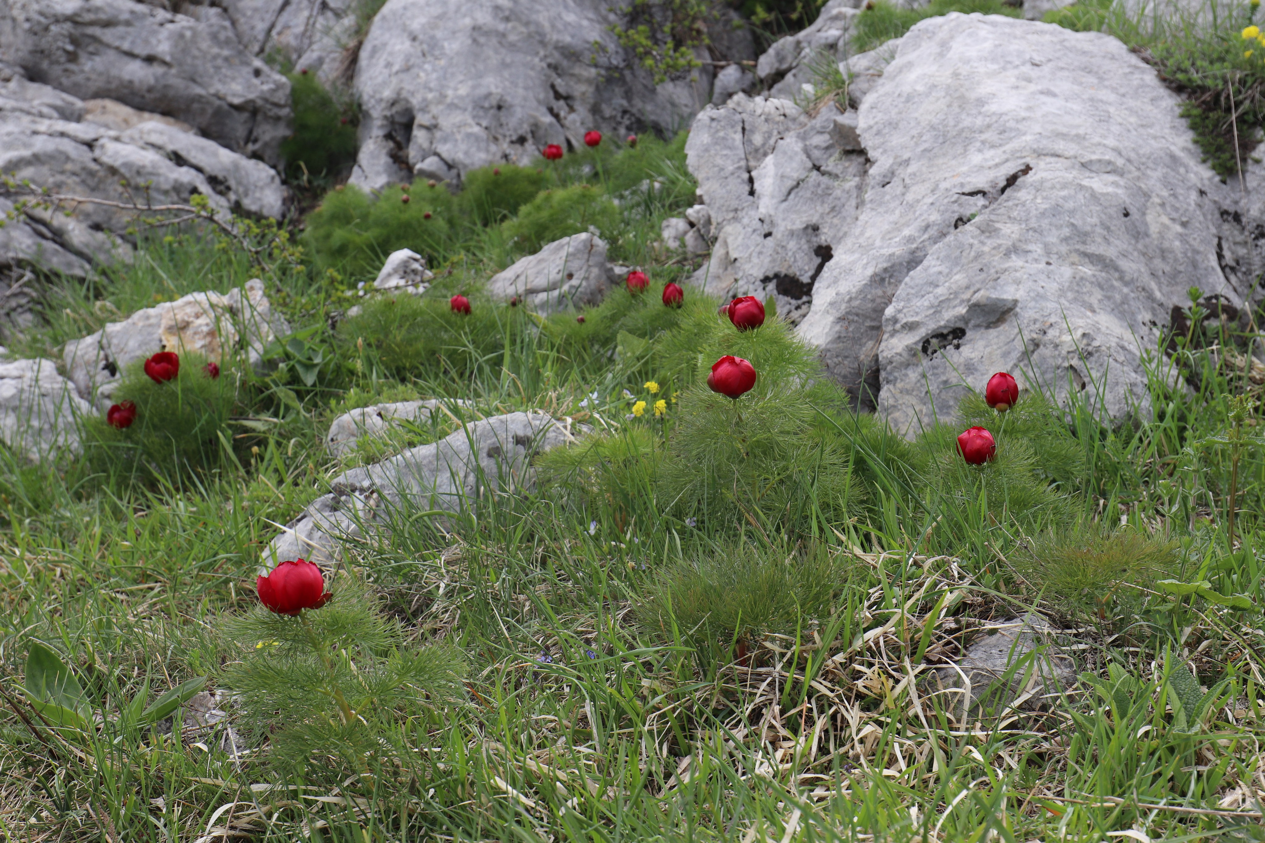 Крым. ЮБК (Бахчисарай, Демерджи, Судак). Первый скалолазный выезд. Май 2019. Путешественник-фотограф из Санкт-Петербурга Татьяна Свистулина