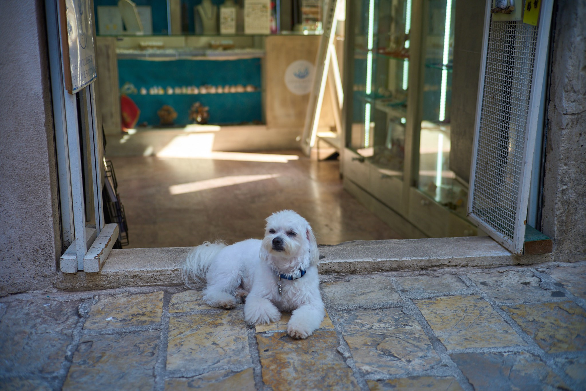 Черногория, сентябрь 2024. Фотограф, Римма Невинская