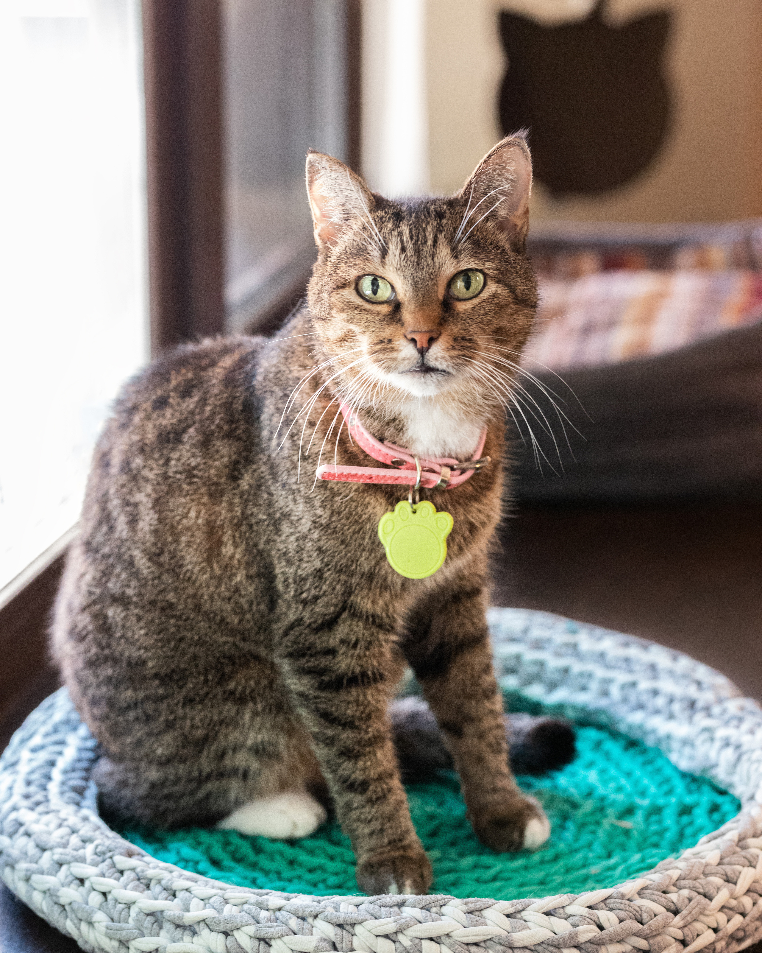 Котики «Чукотка» 2020. Портретный фотограф в Самаре Андрей Трифонов