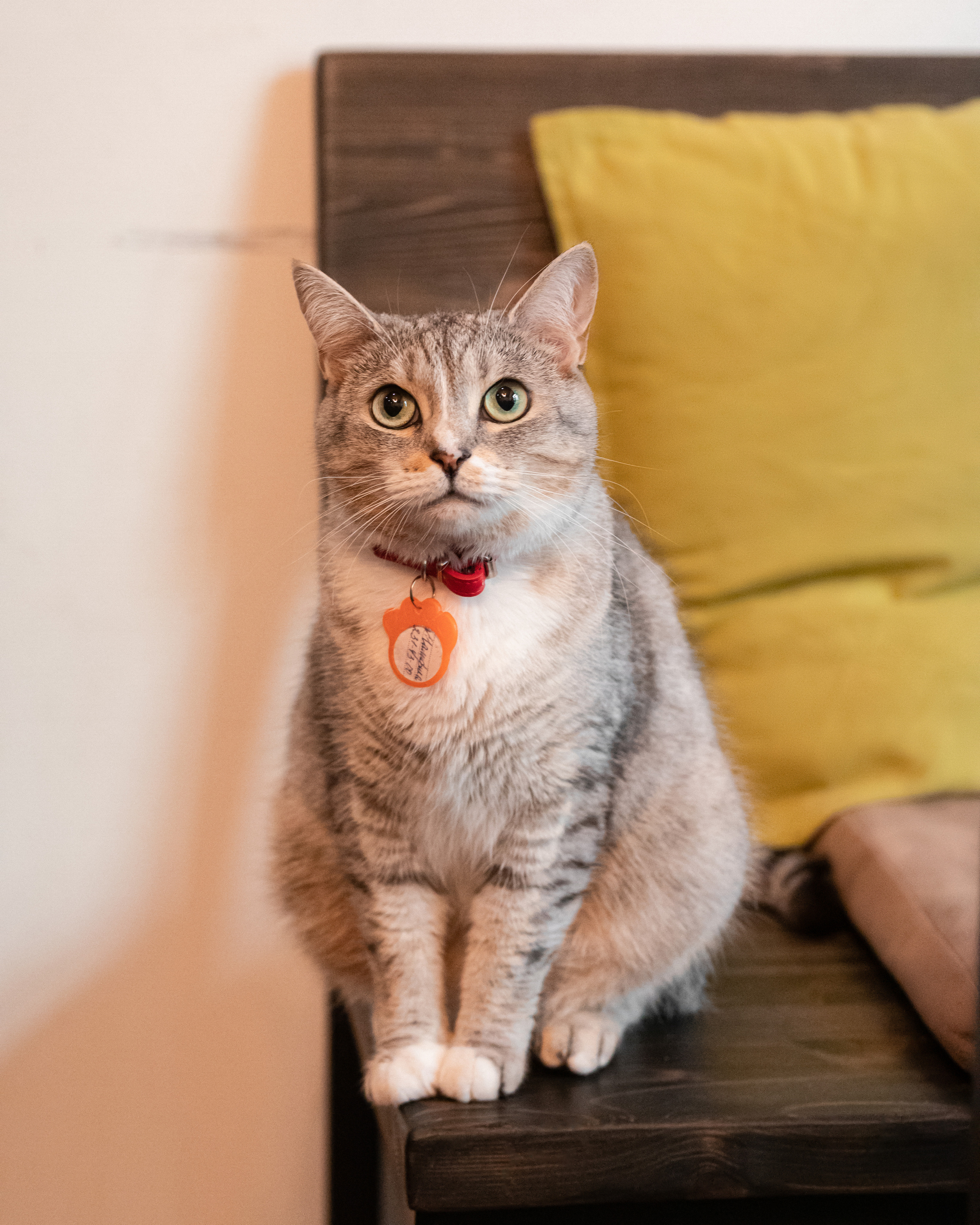 Котики «Чукотка» 2020. Портретный фотограф в Самаре Андрей Трифонов