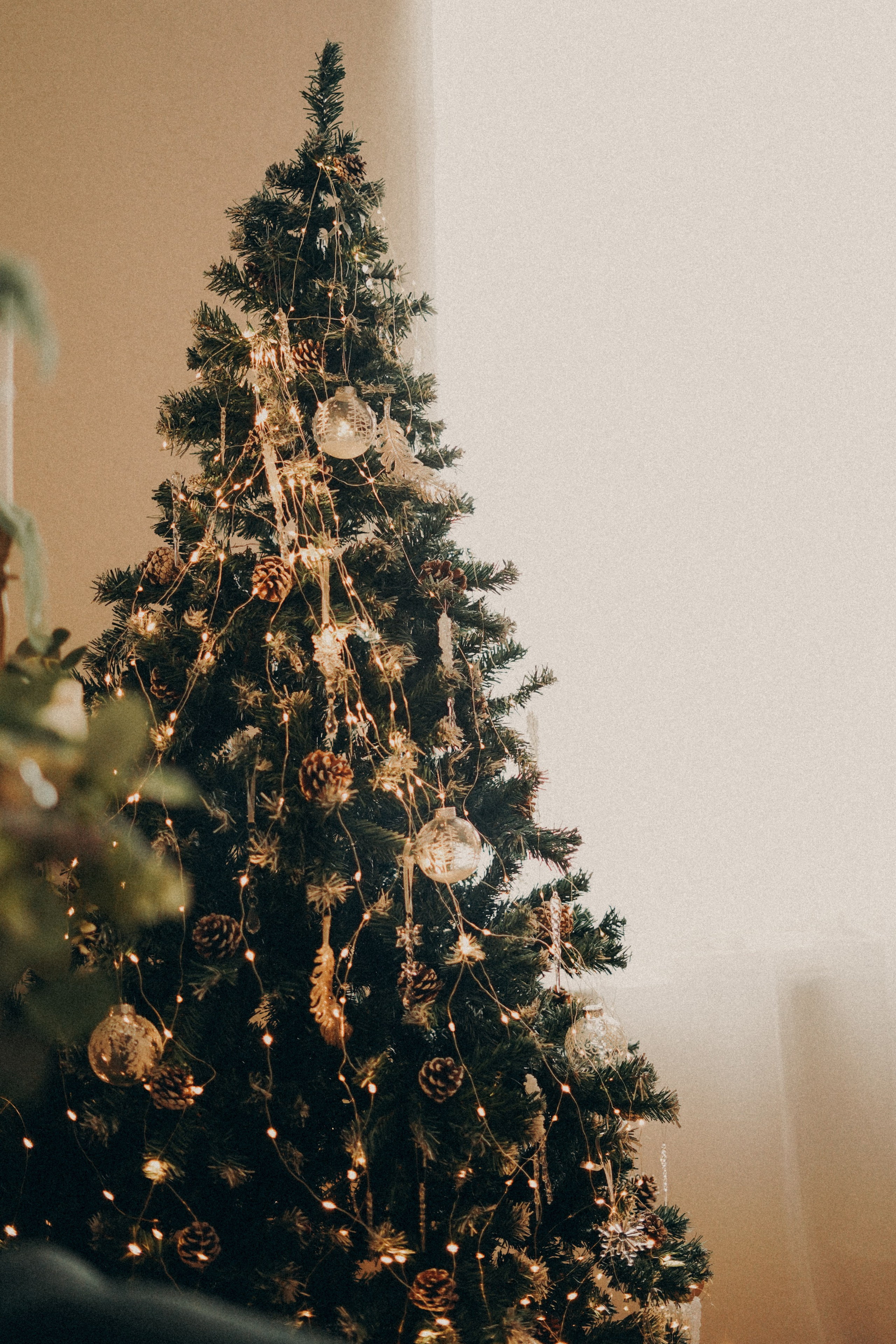 Зал 1. Фотограф Батуми | Ксения Кинасова